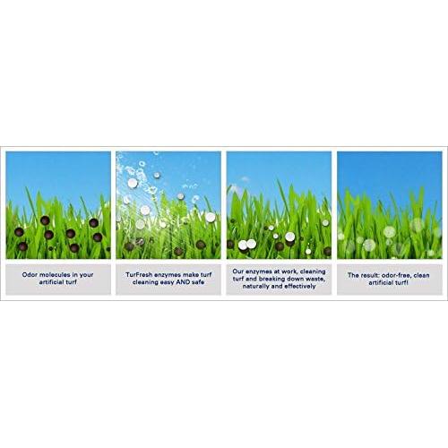 BioTurf BioS+ Eliminador de Olores Césped Artificial 3.78L