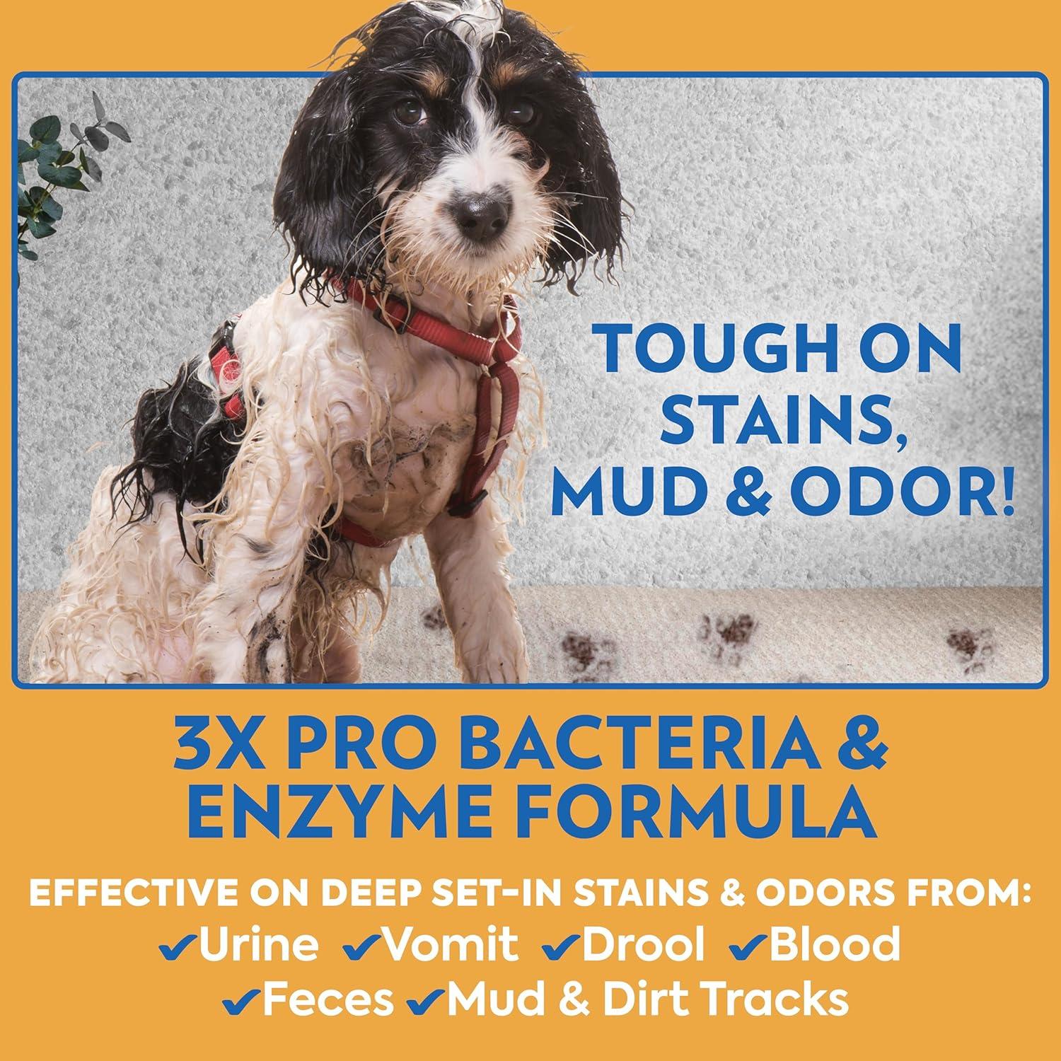 OUT! PetCare Eliminador de Manchas y Olores Oxy 946 ml