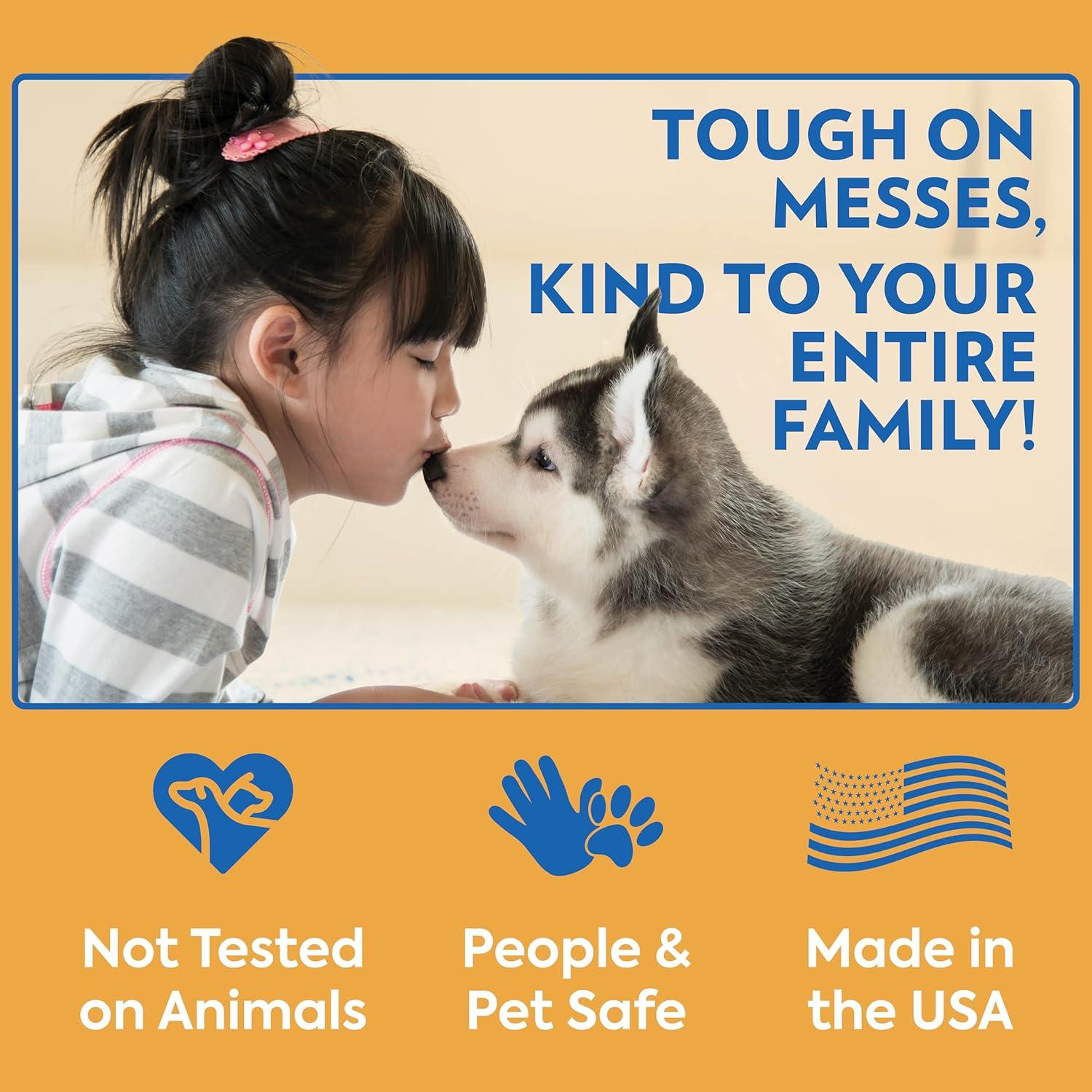 OUT! PetCare Eliminador de Manchas y Olores Oxy 946 ml