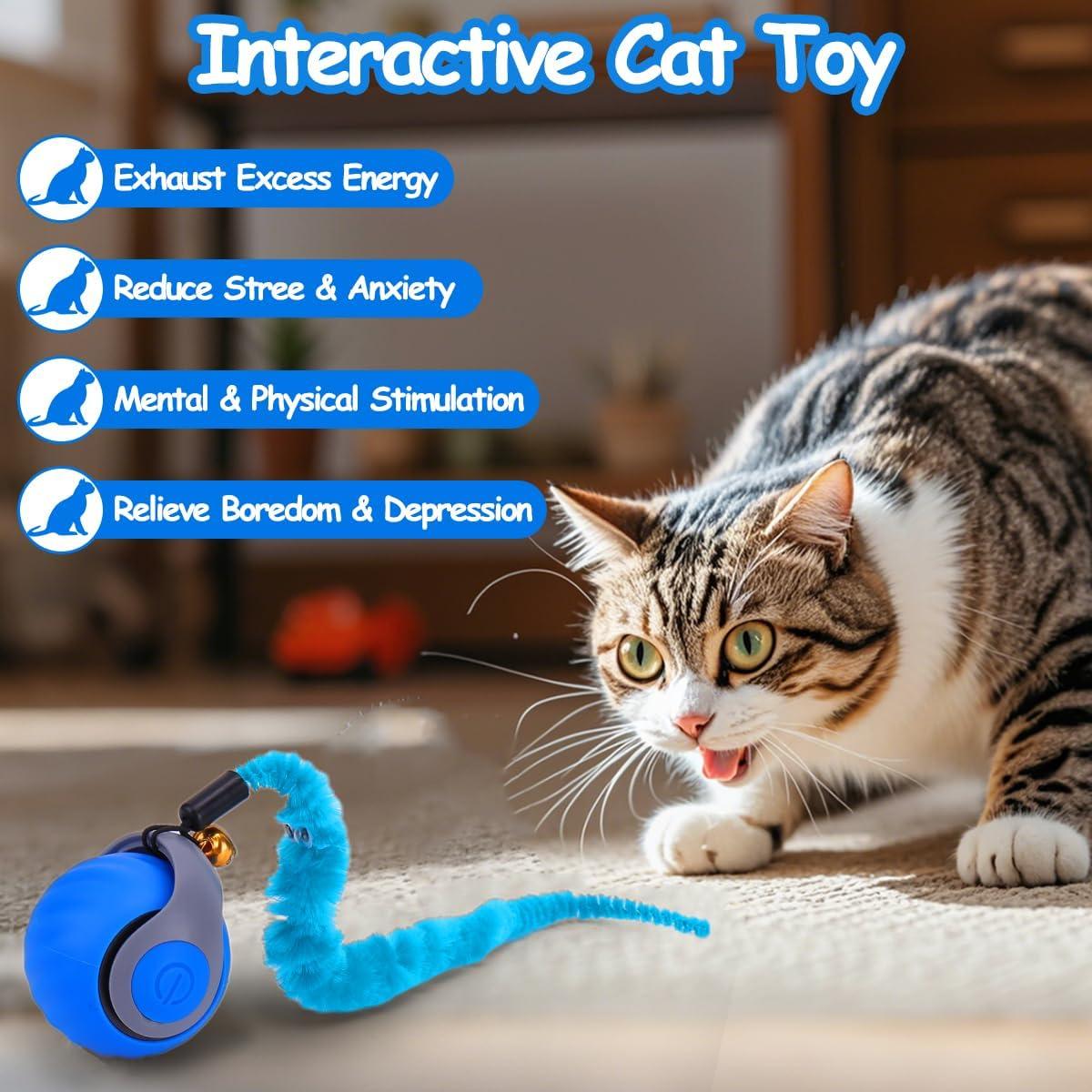 Juguete Interactivo para Gatos Mity Rain, Bola Autopropulsada Azul