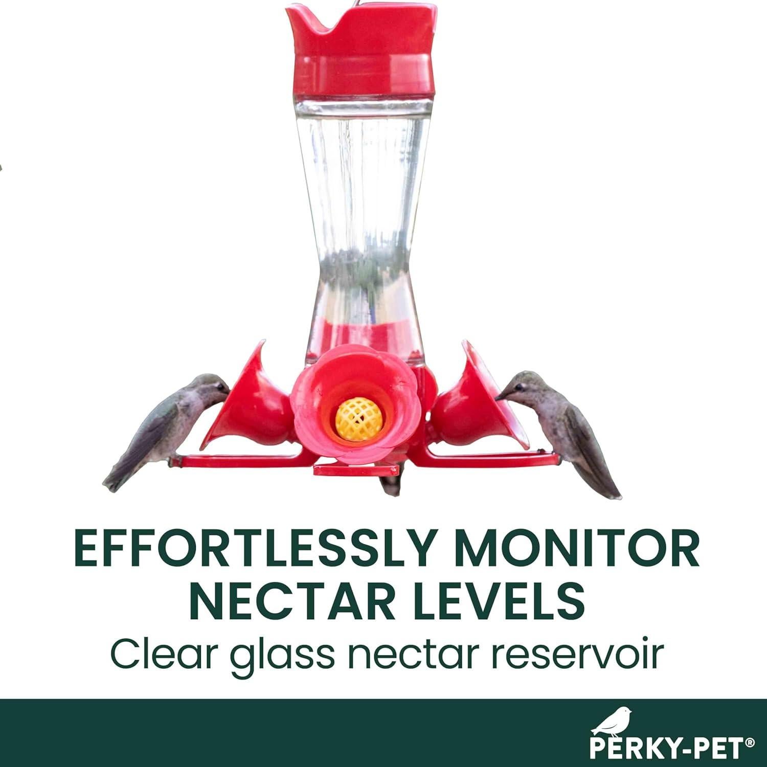 Alimentador de Colibríes de Vidrio Perky-Pet 203CPBN 227ml