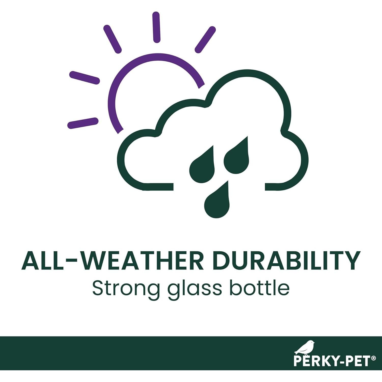 Alimentador de Colibríes de Vidrio Perky-Pet 203CPBN 227ml