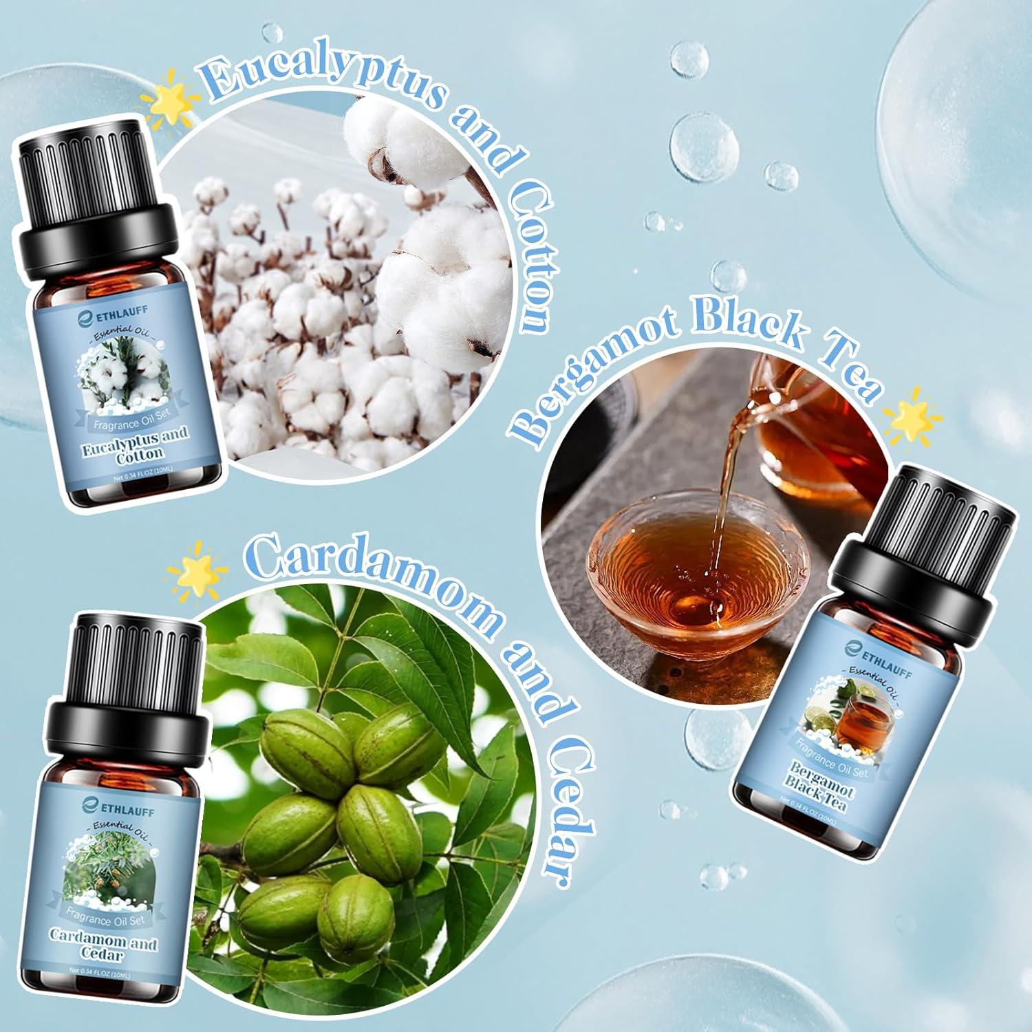 Juego de 6 Aceites Esenciales Limpiadores Ethlauff 10 ml