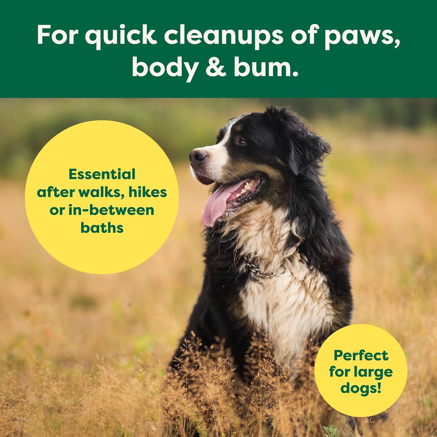 Toallitas XL para Mascotas Earth Rated - 60 Unidades Hipoalergénicas