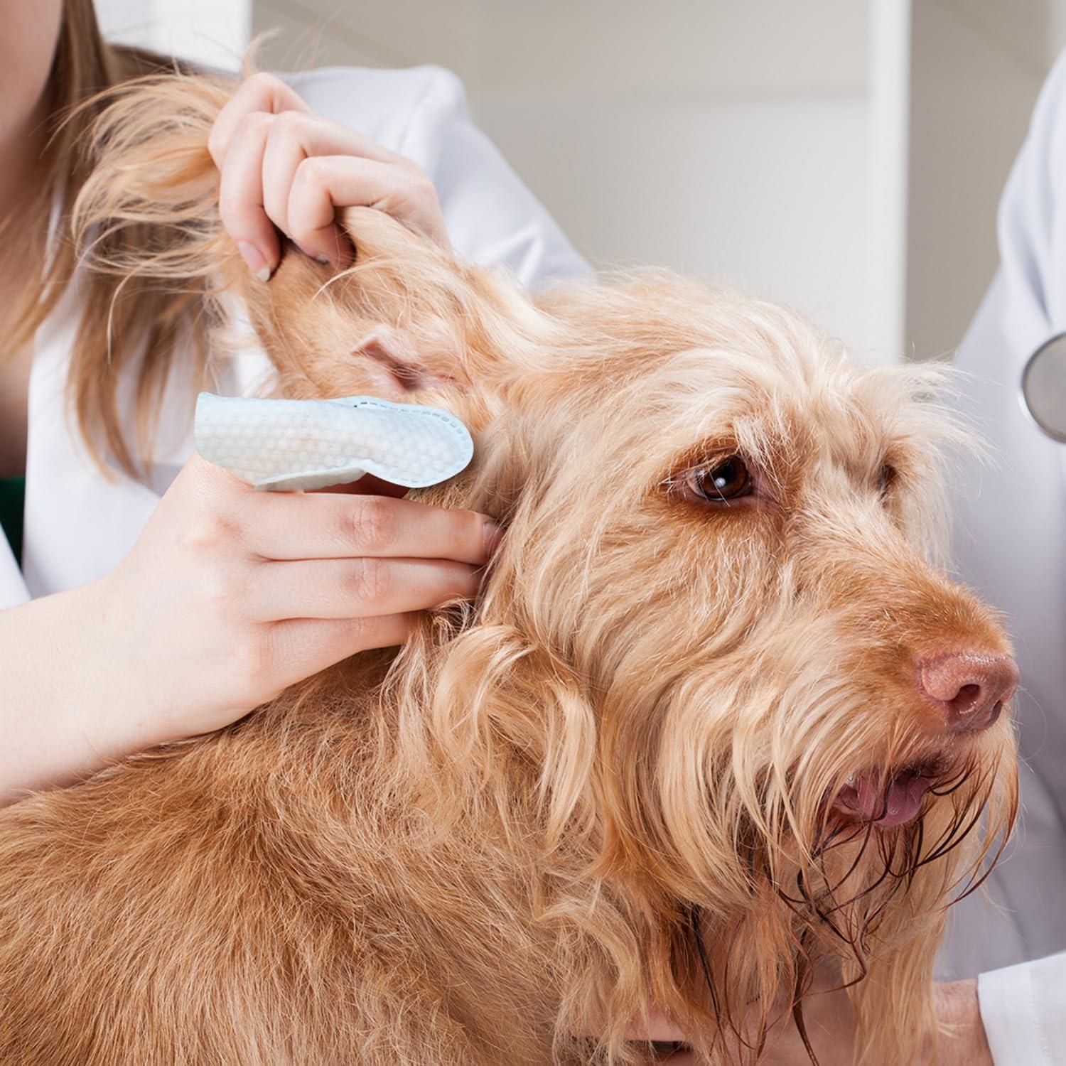 Toallitas Limpiadoras para Oídos de Perros Paw Science - Aroma Coco