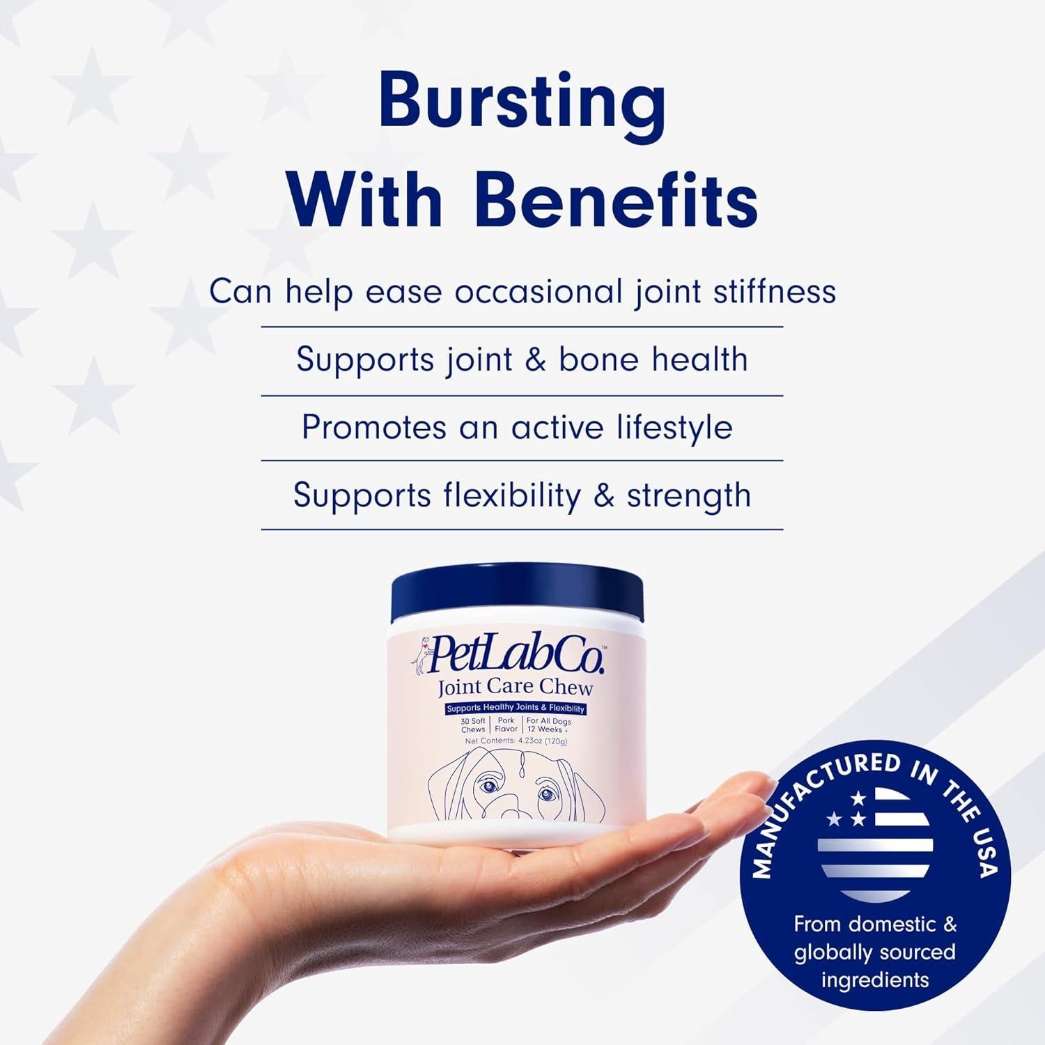 Masticables para Articulaciones de Perros PetLab Co. - 330g