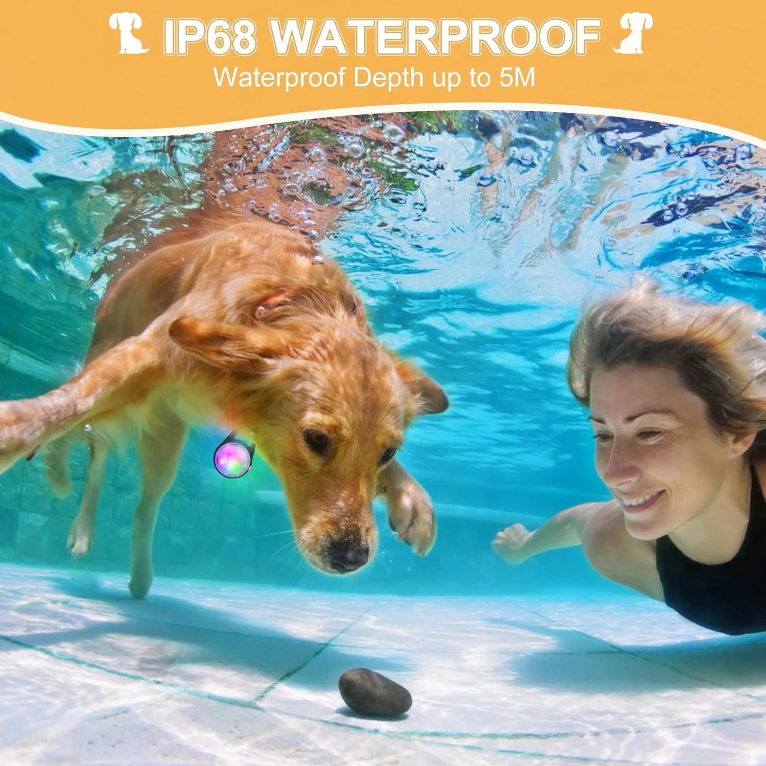 Luz LED Recargable para Collar de Perro QIZIYARDALL IP68 2 Pcs