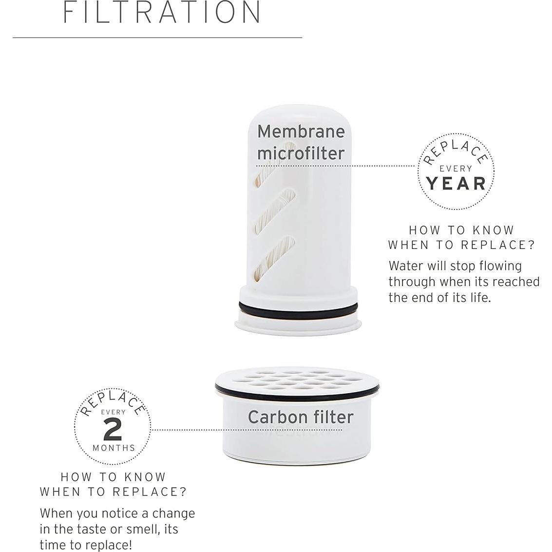 Jarra filtradora LifeStraw Home 10 tazas Wisteria libre BPA