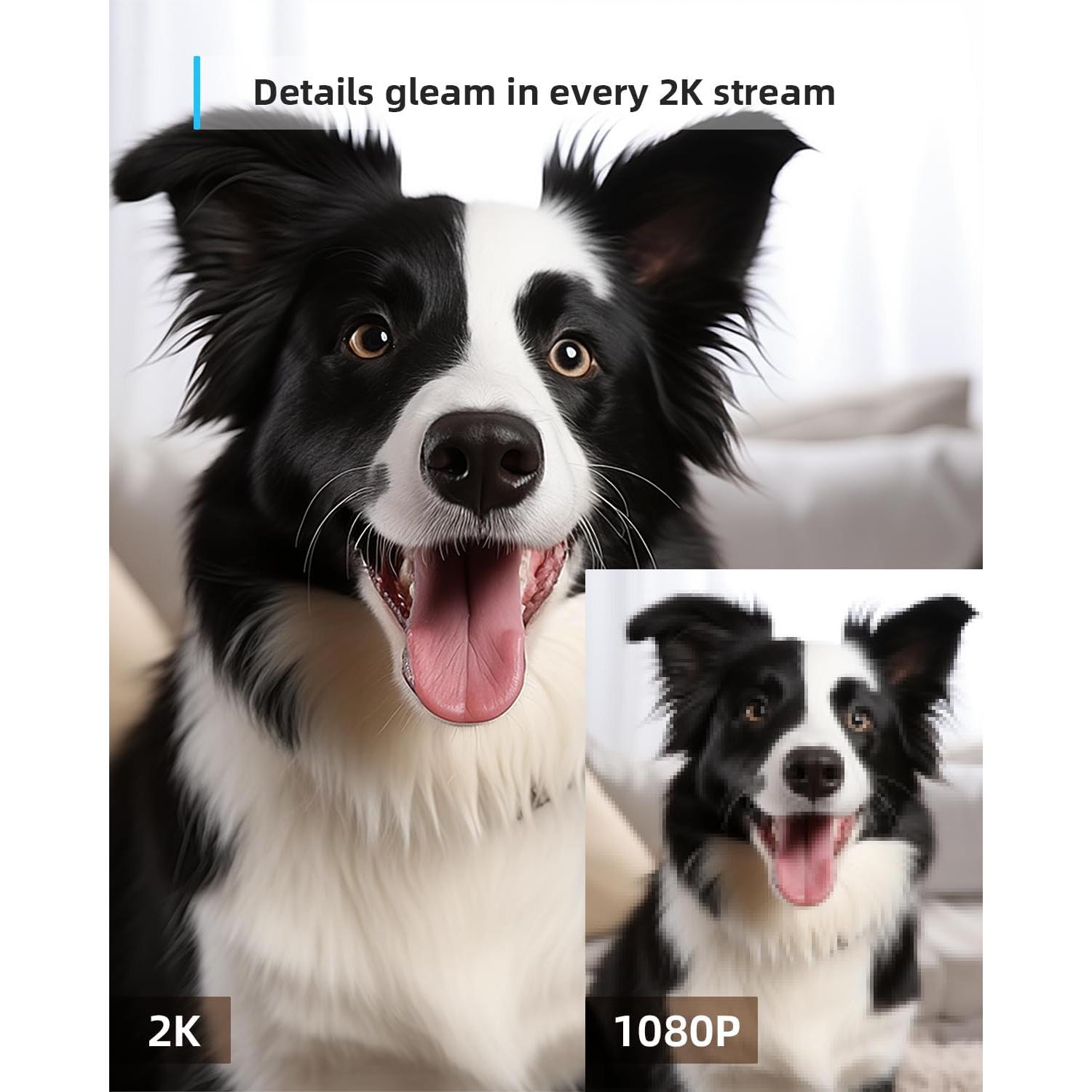 Cámara de Seguridad Interior Blurams A31 2K 360° con Audio