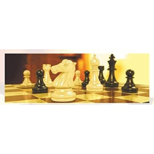 Juego de Ajedrez Magnético Multipurpose Go Plegable 30.5 cm