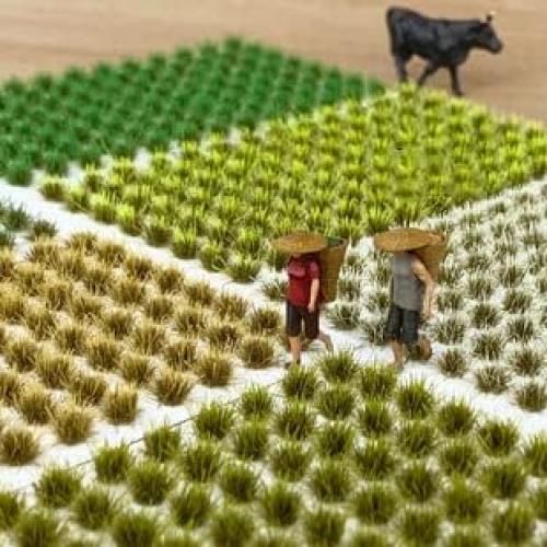 Kit de Hierba Estática Rileryan 208 Pcs Miniatura Diorama