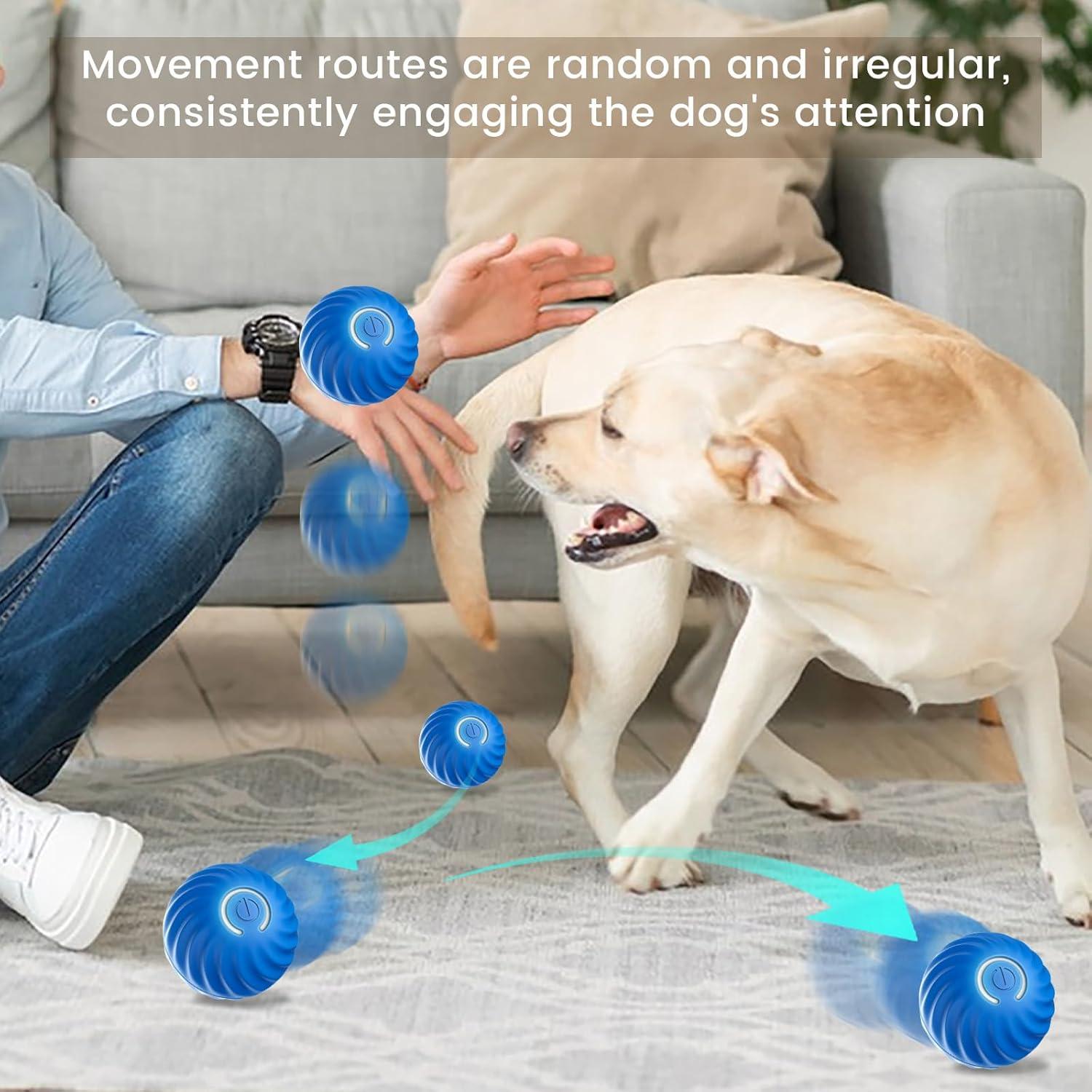 Bola Interactiva para Perros PAKEISI R1434-FE Azul Recargable