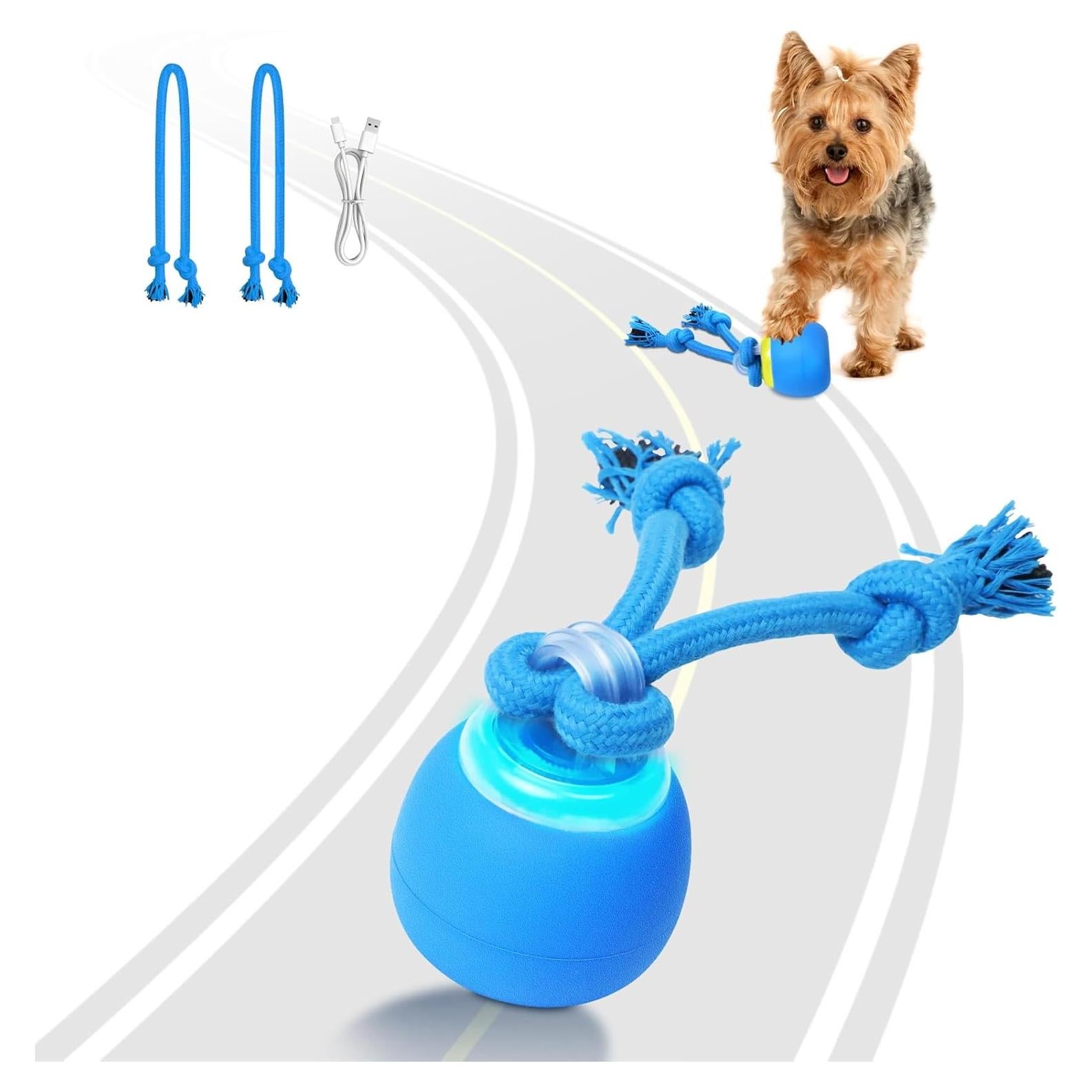 Pelota Interactiva para Perros Saolife, Recargable USB, 7.37 cm