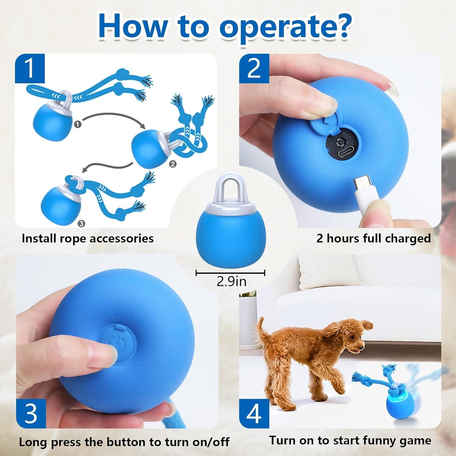 Pelota Interactiva para Perros Saolife, Recargable USB, 7.37 cm