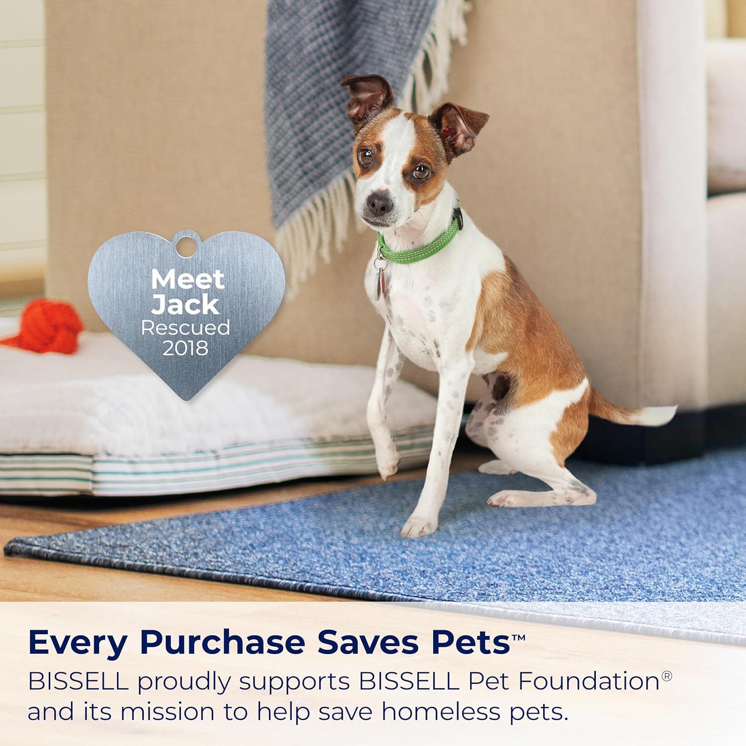 Limpiador Portátil de Alfombras BISSELL Little Green Max Pet