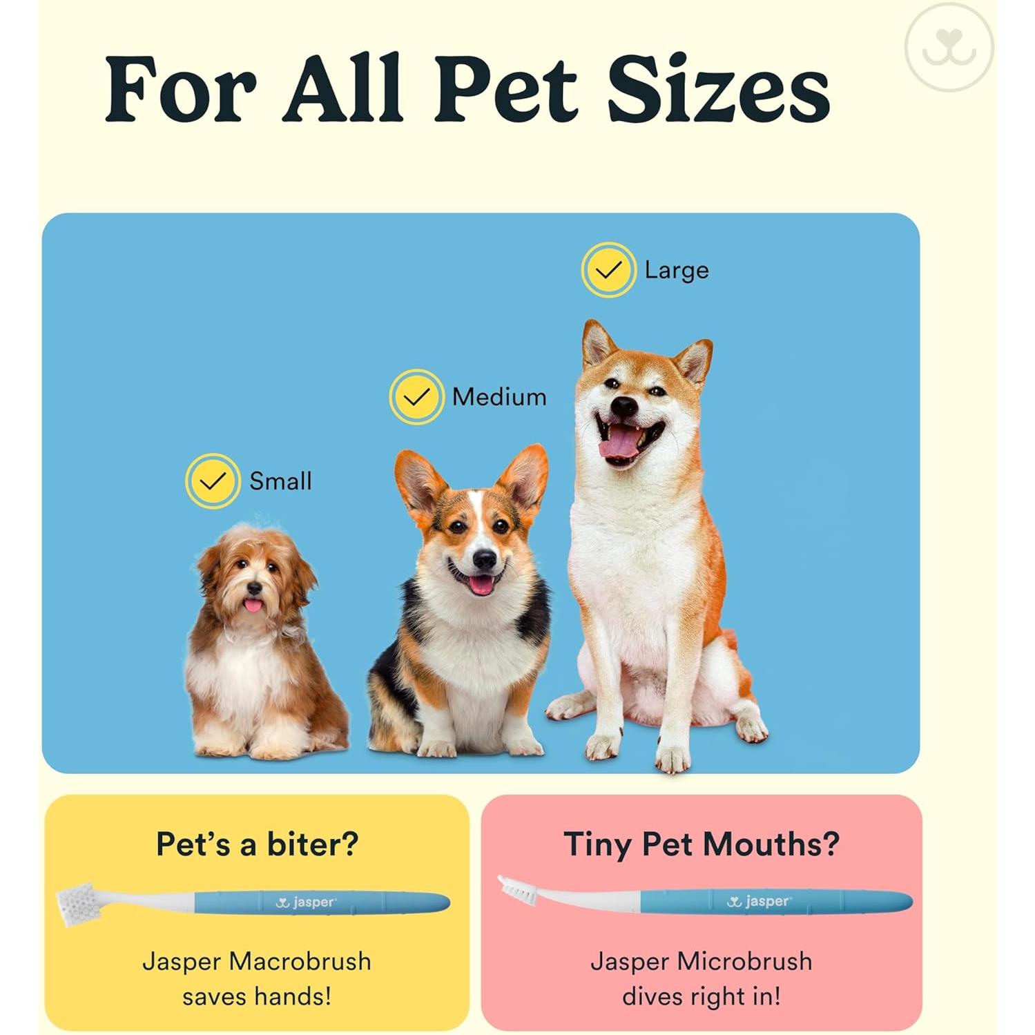 Cepillo de Dientes para Perros Jasper 360° - Kit de 4 Unidades