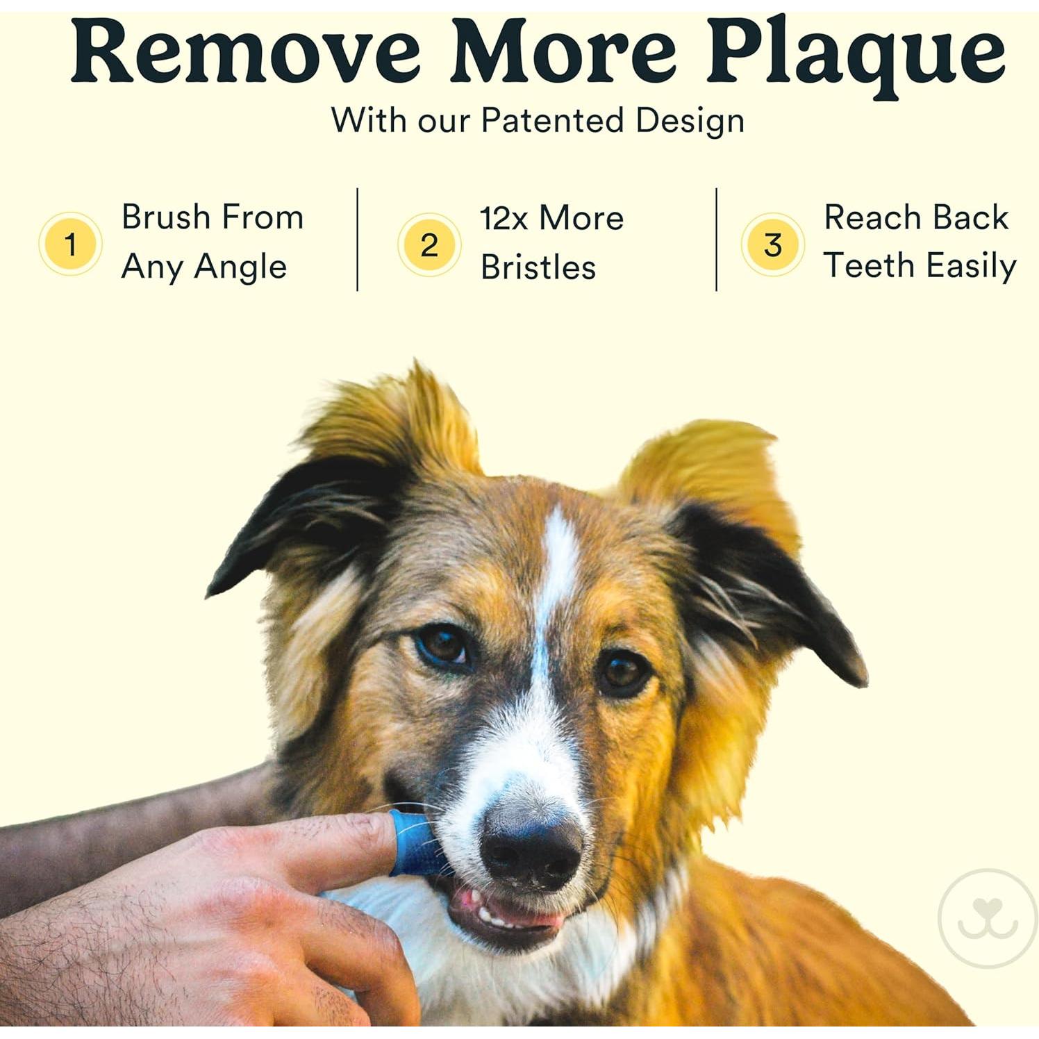 Cepillo de Dientes para Perros Jasper 360° - Paquete de 4 Claro