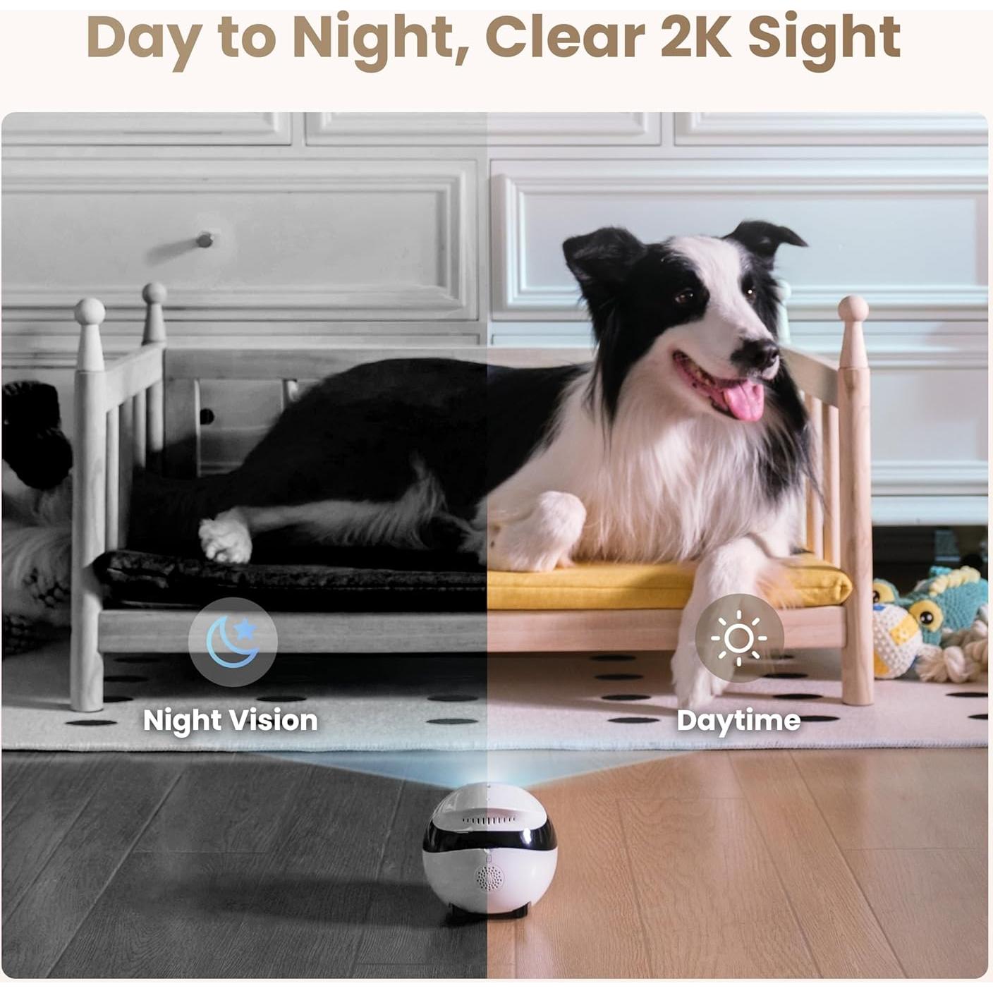 Cámara de Seguridad Robot EBO Air 2 para Mascotas 2K - Blanco