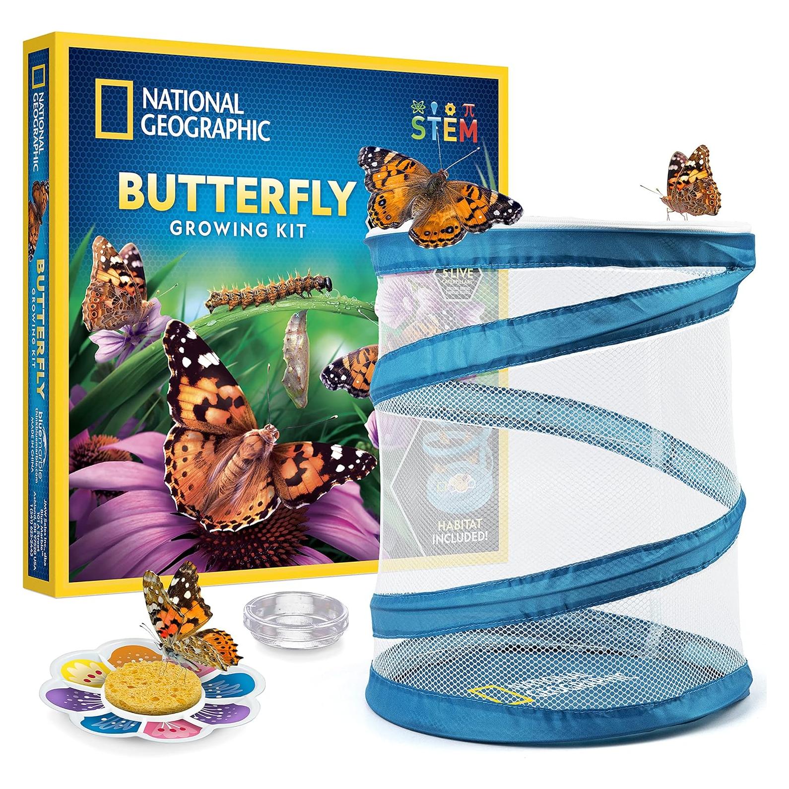 Kit de Crecimiento de Mariposas National Geographic - 5 Orugas