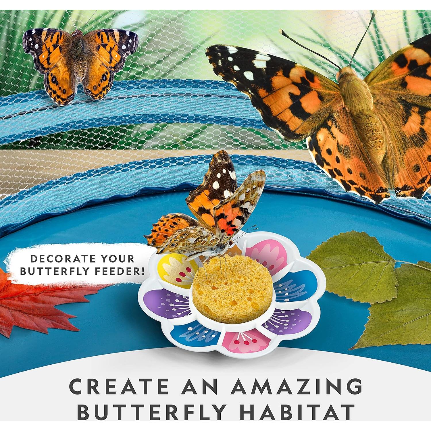 Kit de Crecimiento de Mariposas National Geographic - 5 Orugas