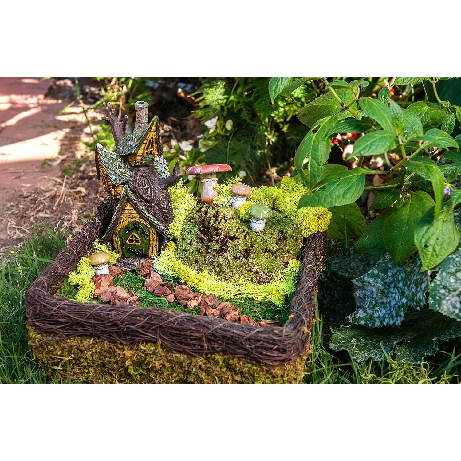 Kit de Jardín de Hadas SuperMoss 113.4 g Musgos Naturales