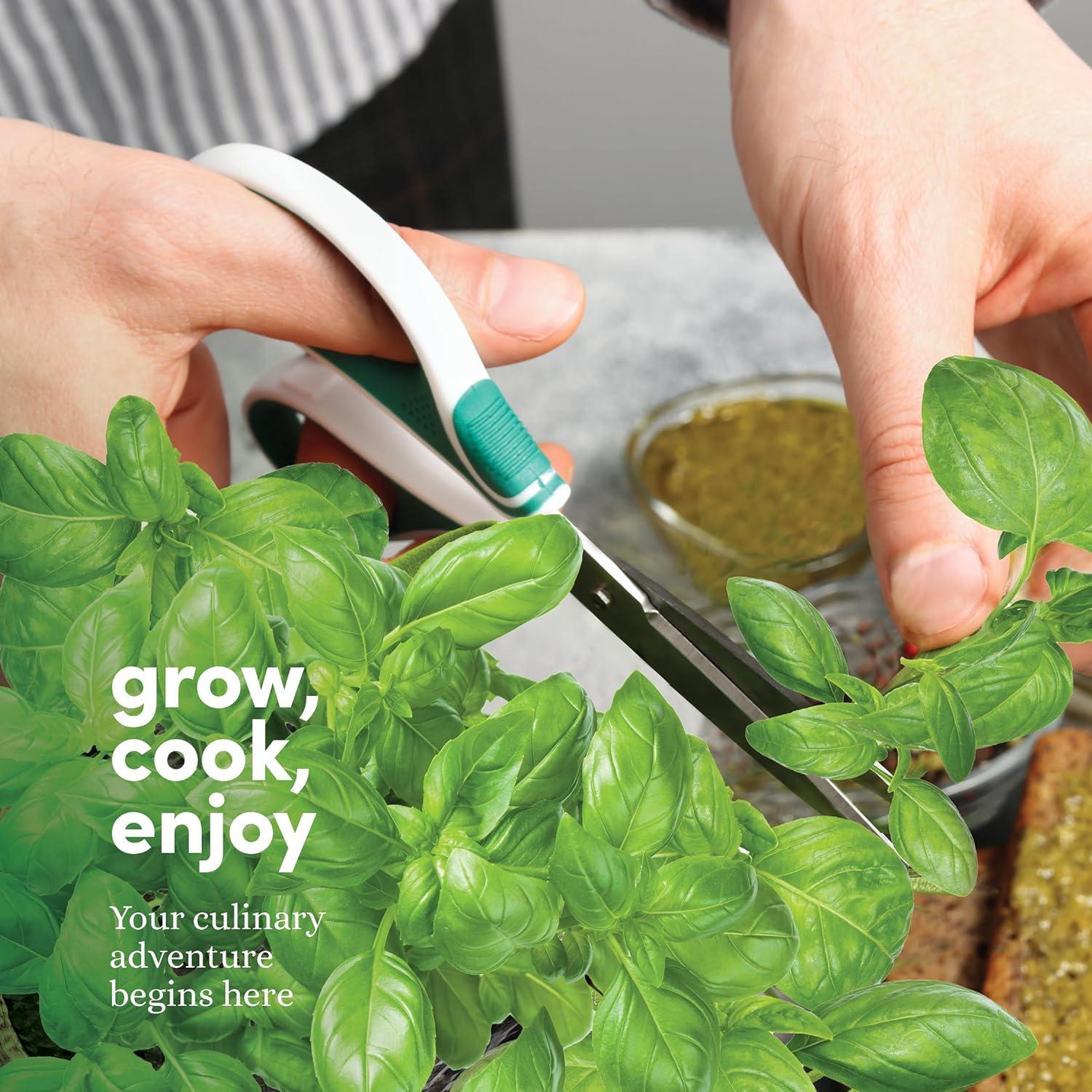 Kit de Jardín Interior 9 Hierbas Planters' Choice - Semillas Gourmet