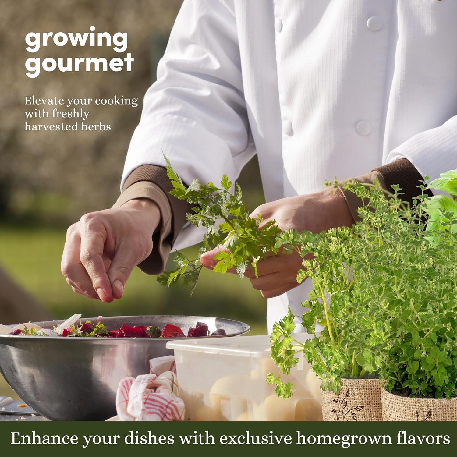 Kit de Jardín Interior 9 Hierbas Planters' Choice - Semillas Gourmet