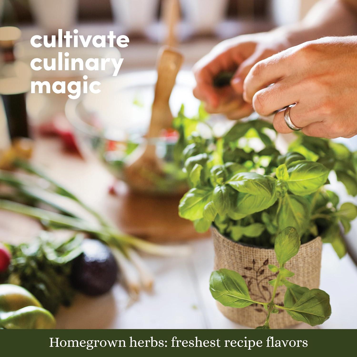 Kit de Jardín Interior 9 Hierbas Planters' Choice - Semillas Gourmet