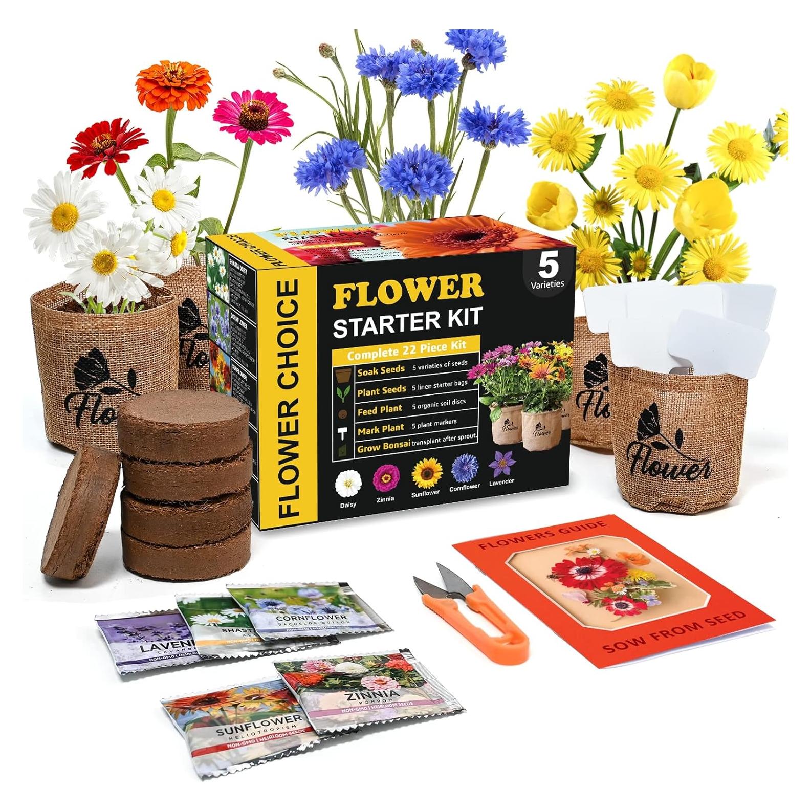 Kit de Jardín de Margaritas Meekear - 5 Bolsas, Discos y Tijeras