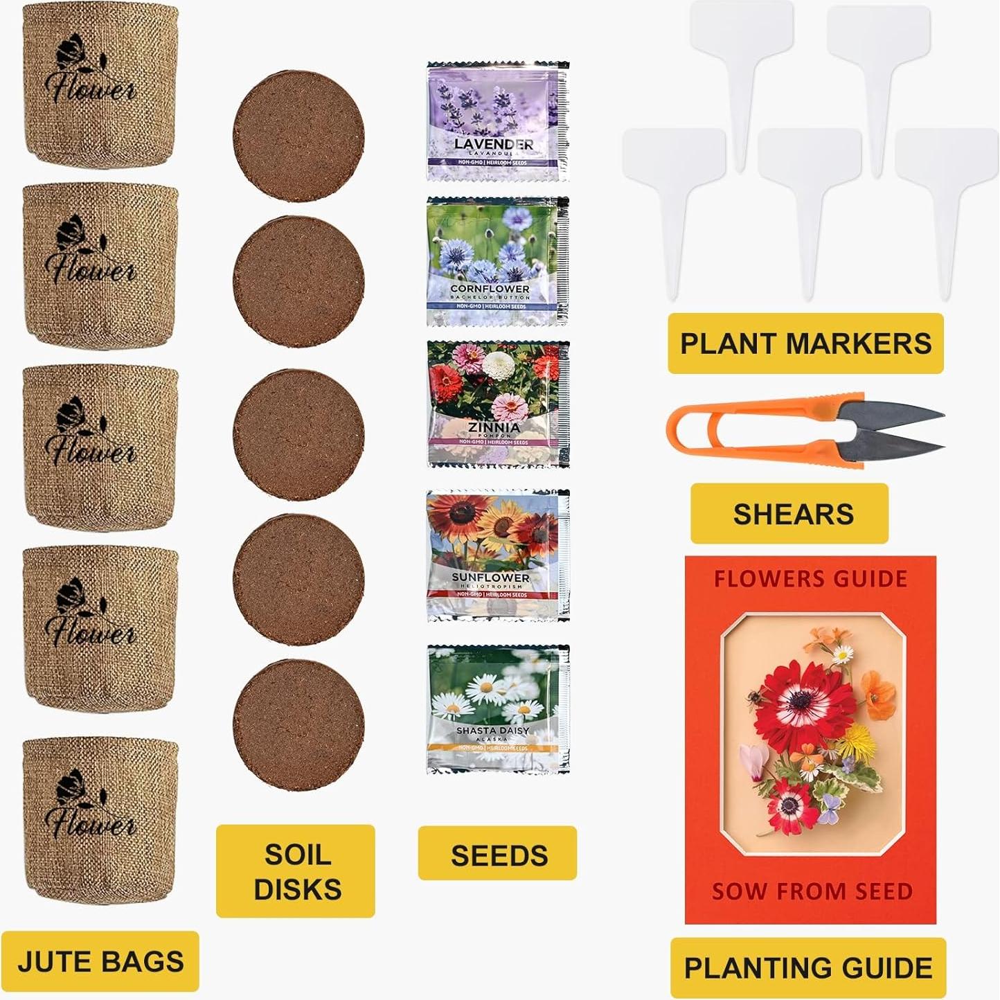 Kit de Jardín de Margaritas Meekear - 5 Bolsas, Discos y Tijeras