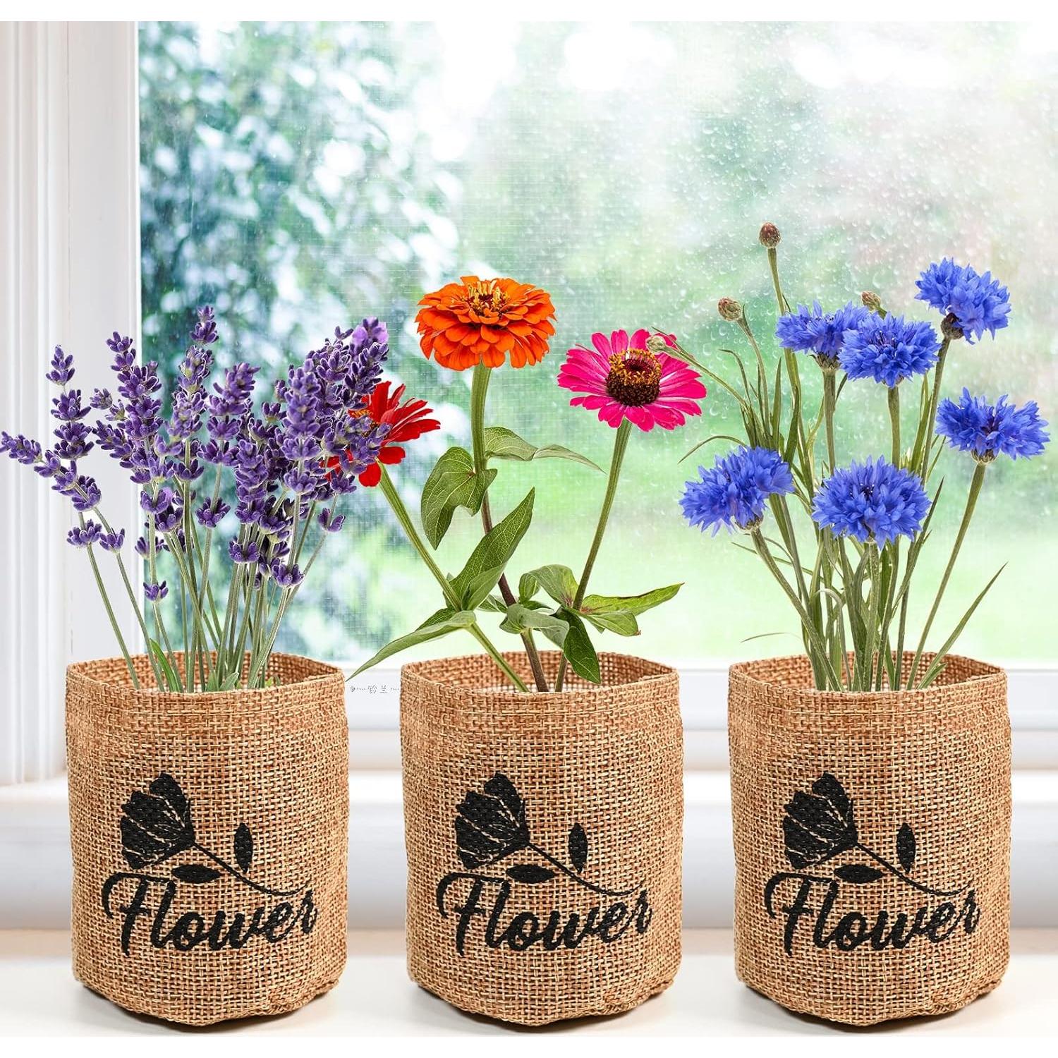 Kit de Jardín de Margaritas Meekear - 5 Bolsas, Discos y Tijeras