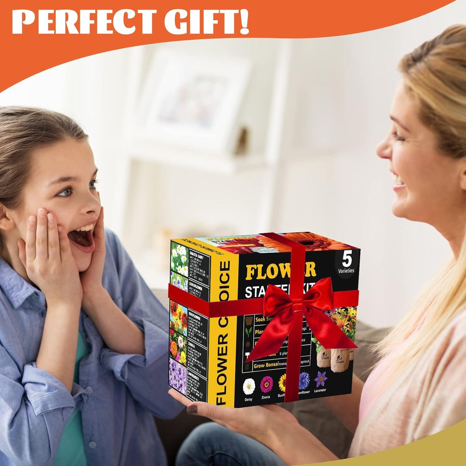 Kit de Jardín de Margaritas Meekear - 5 Bolsas, Discos y Tijeras