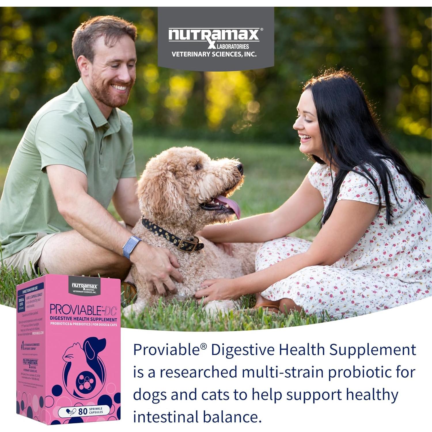 Proviable Probióticos Nutramax para Perros y Gatos - 80 Cápsulas