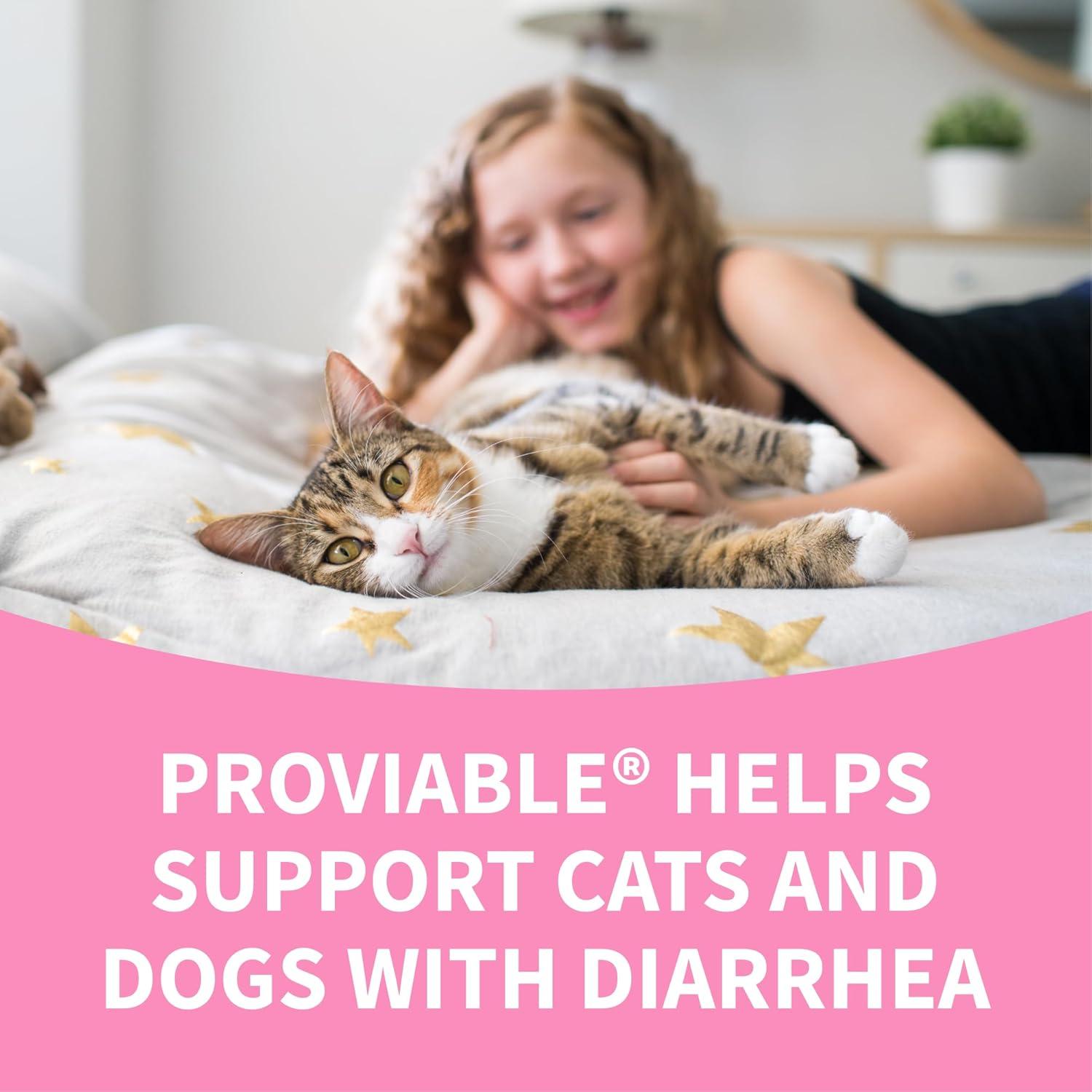 Proviable Probióticos Nutramax para Perros y Gatos - 80 Cápsulas