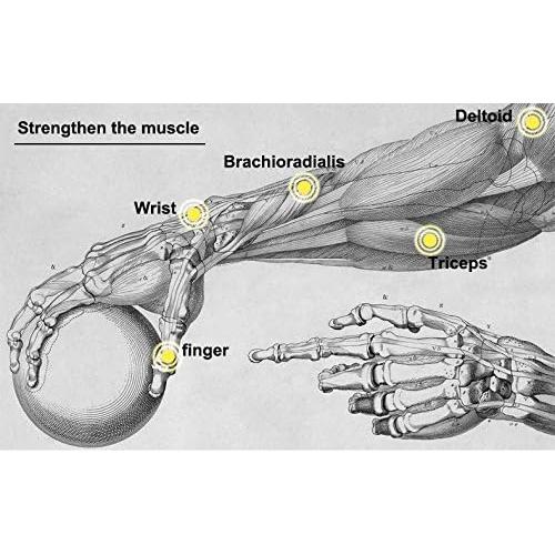 Bola de Giroscopio Parallel Halo 7.62 cm para Ejercicio de Muñeca
