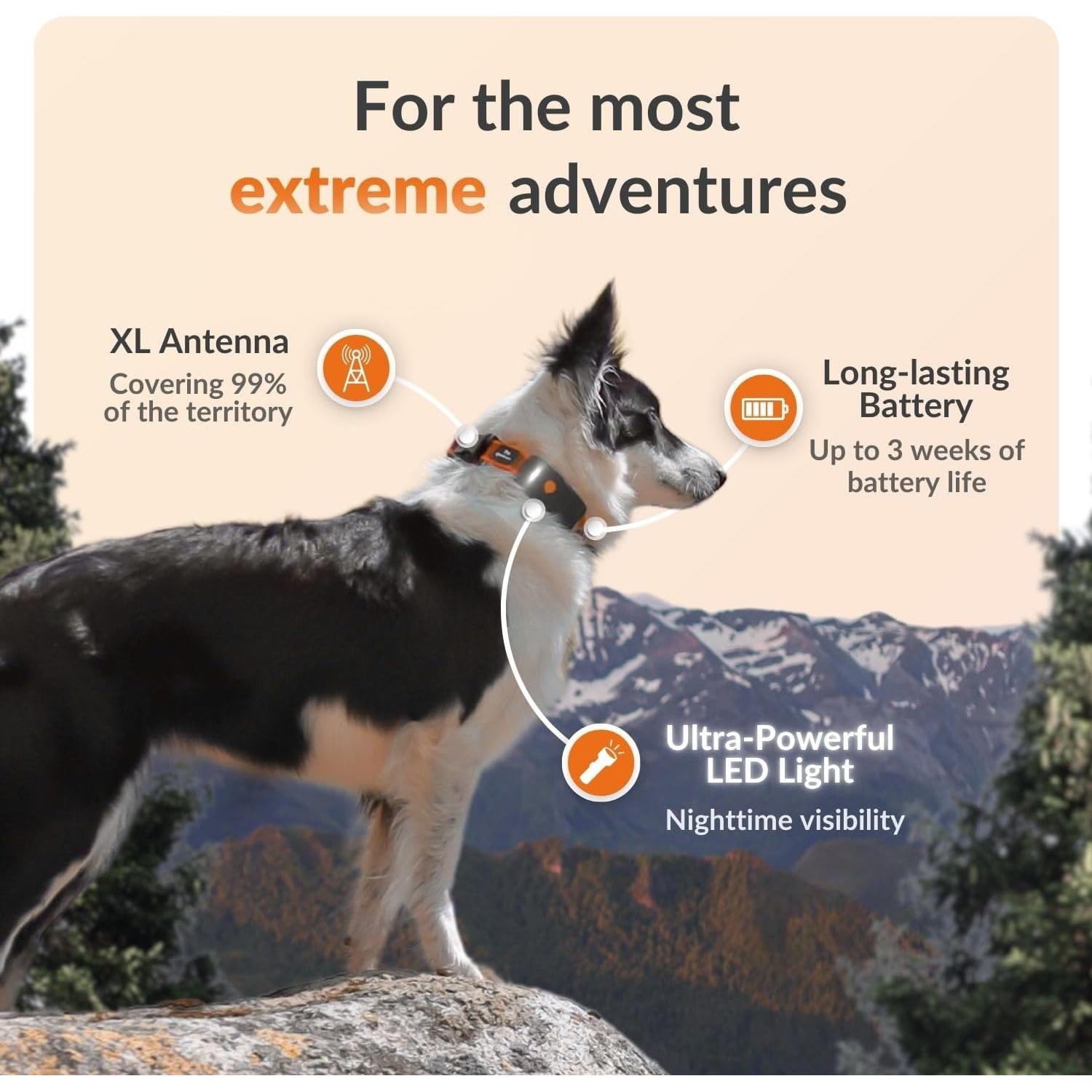 Collar GPS para Perros Weenect XT - Impermeable y Durable