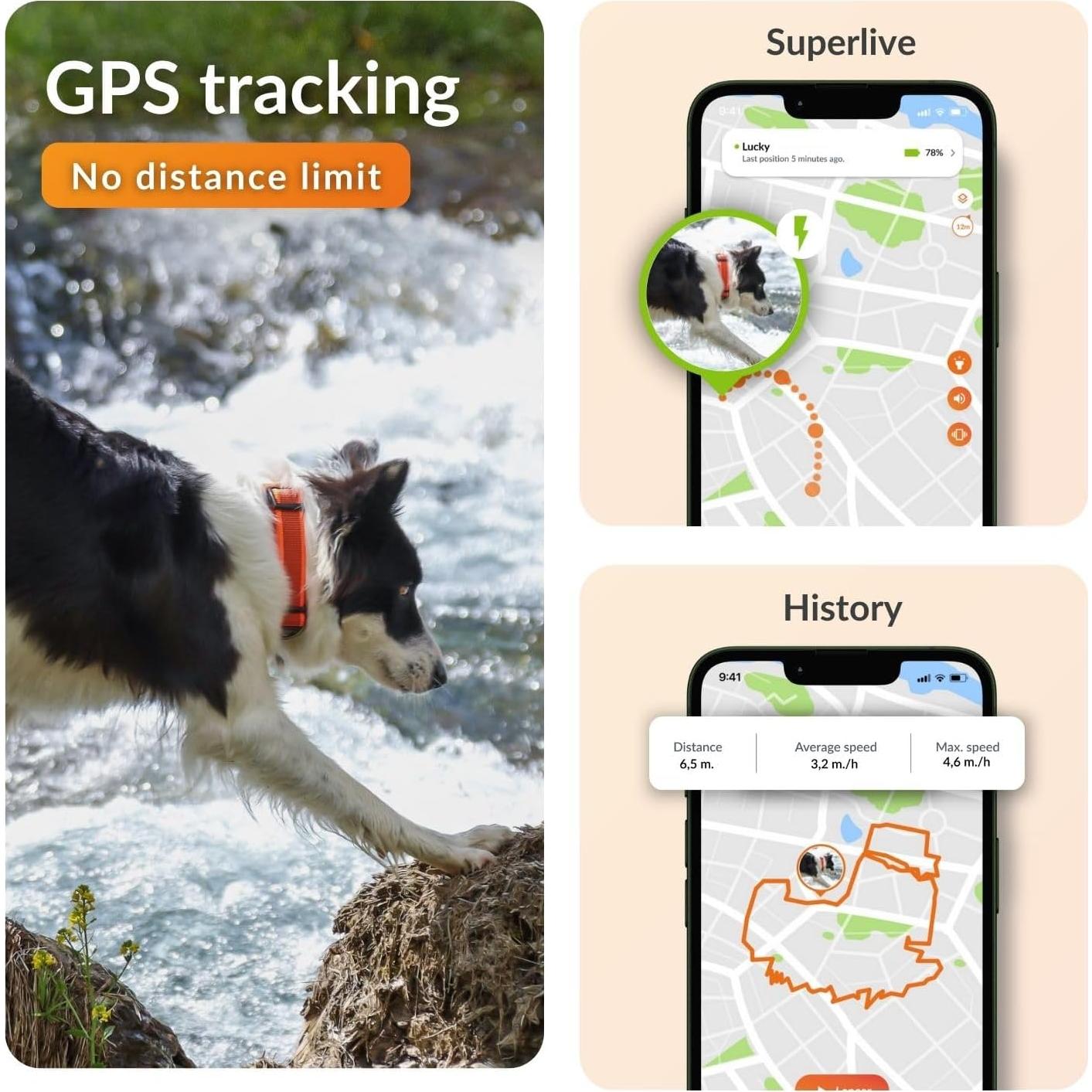 Collar GPS para Perros Weenect XT - Impermeable y Durable