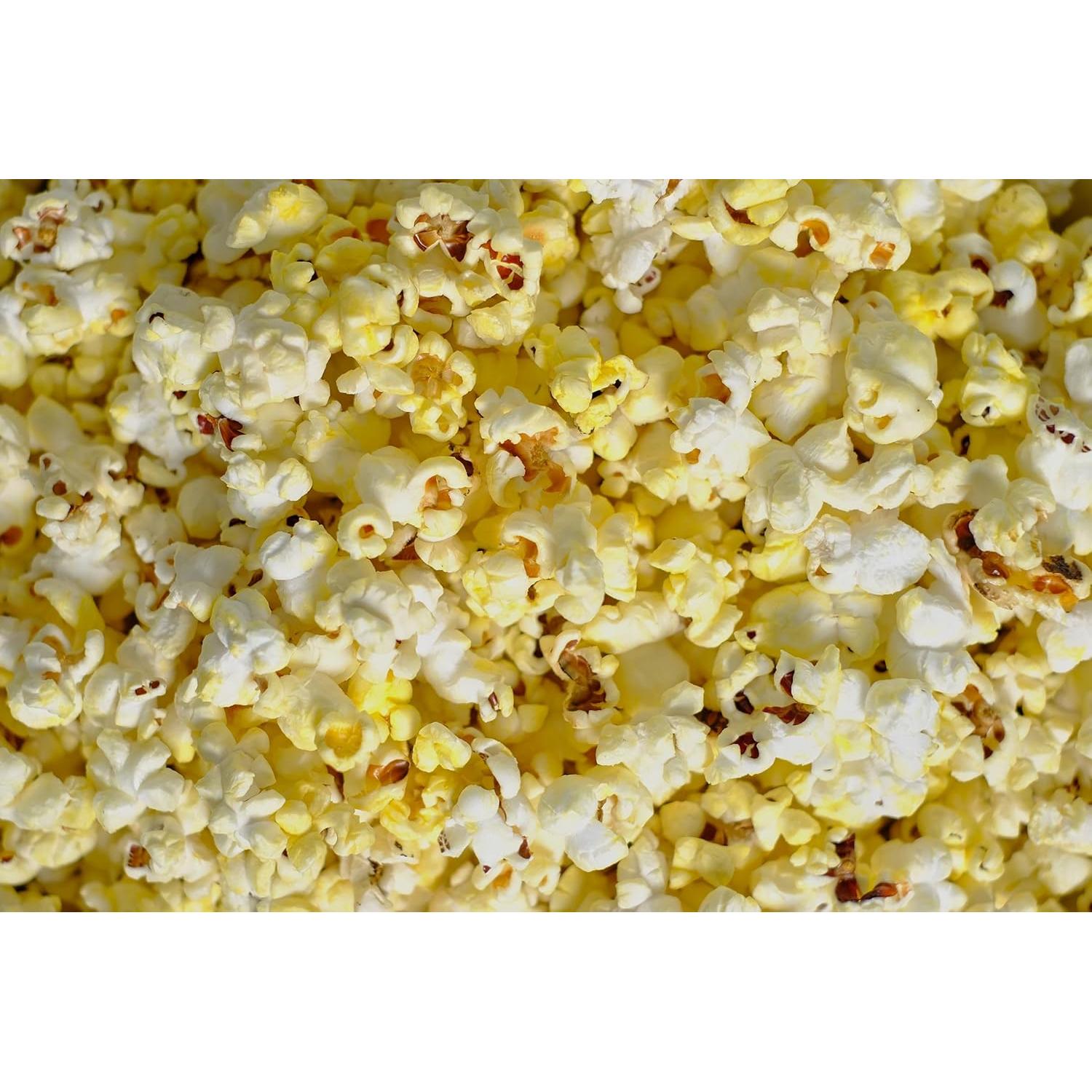 Popper de Silicona Plegable Palomitas del País Amish 56.7g