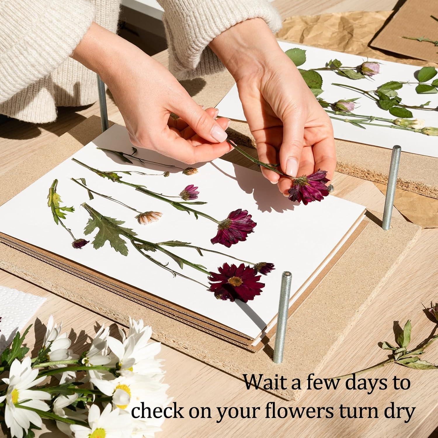 Papel Absorbente A4 Ecoofor para Prensado de Flores - 20 Hojas