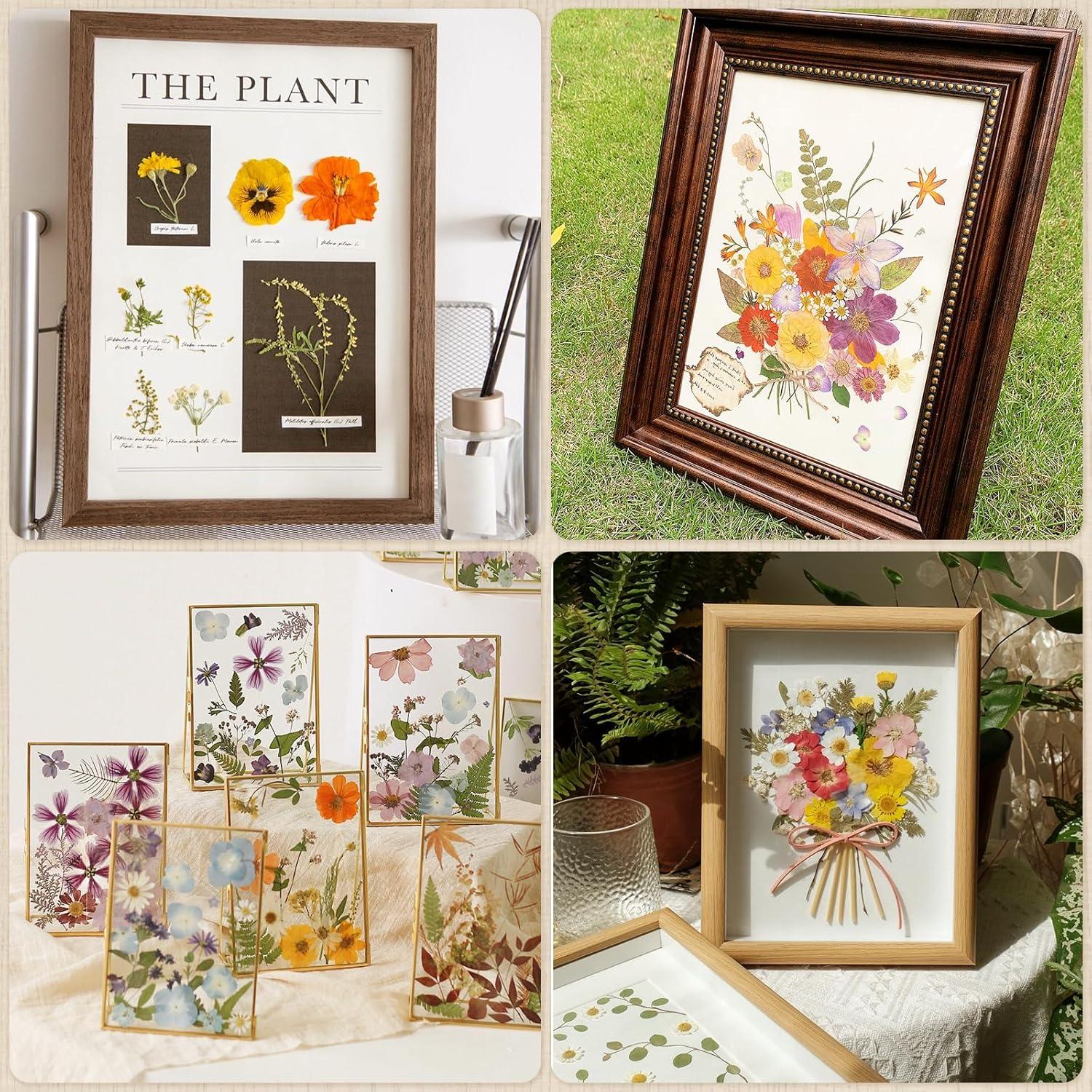 Papel Absorbente A4 Ecoofor para Prensado de Flores - 20 Hojas