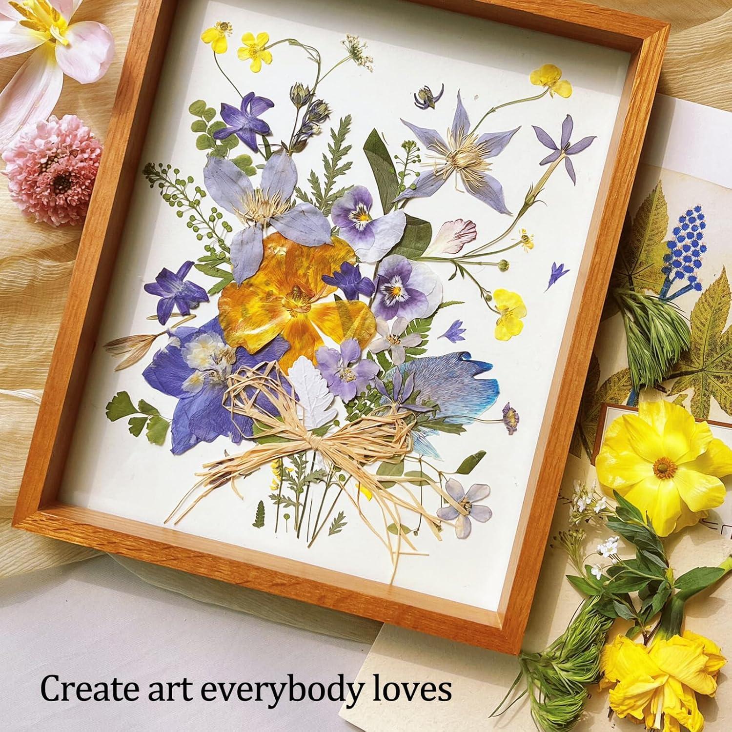 Papel Absorbente A4 Ecoofor para Prensado de Flores - 20 Hojas