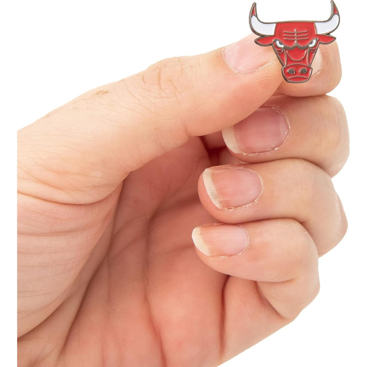 Pin de Solapa Cactus del Desierto NBA Chicago Bulls Esmalte