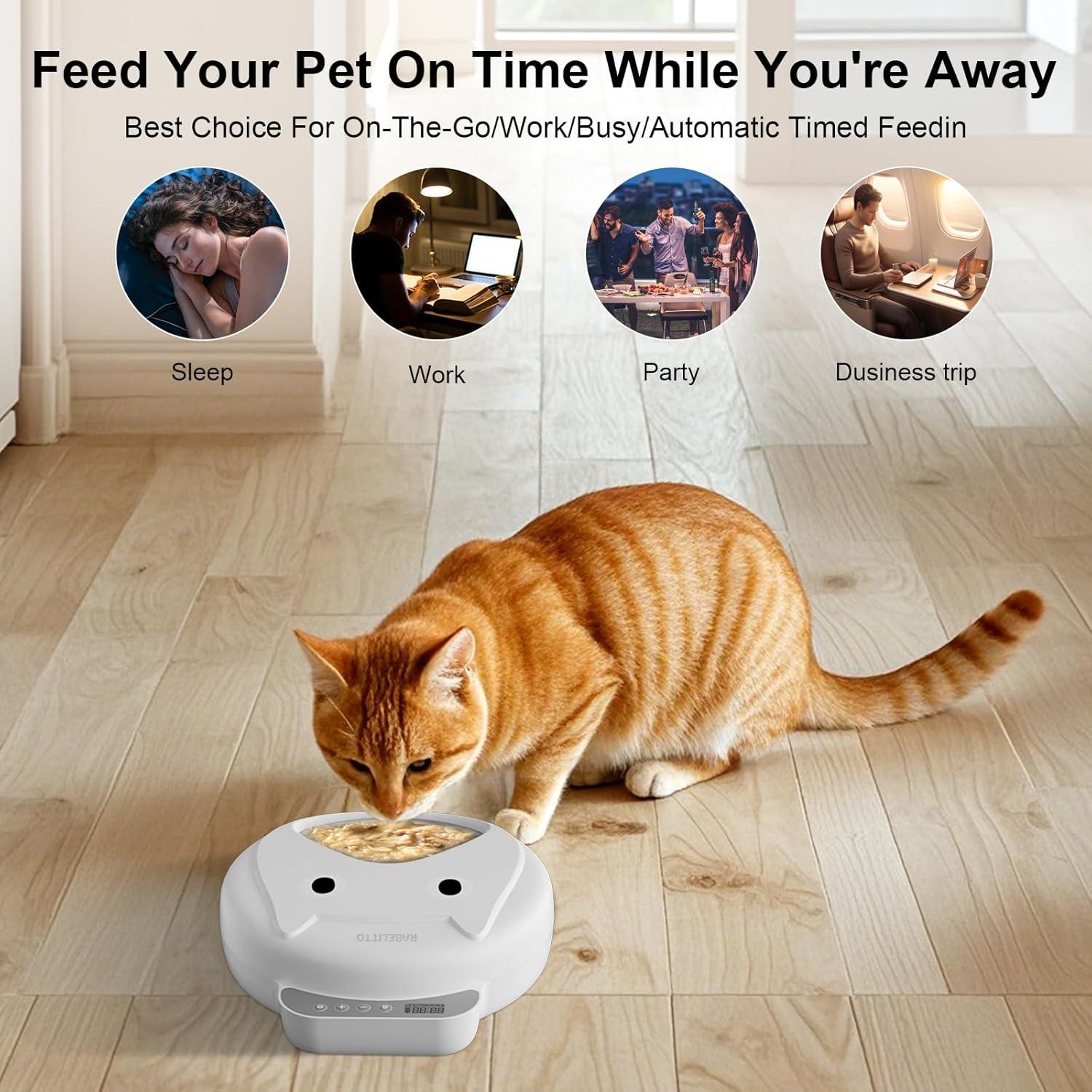 Dispensador Automático de Comida para Gatos RABELLITO 1.26kg