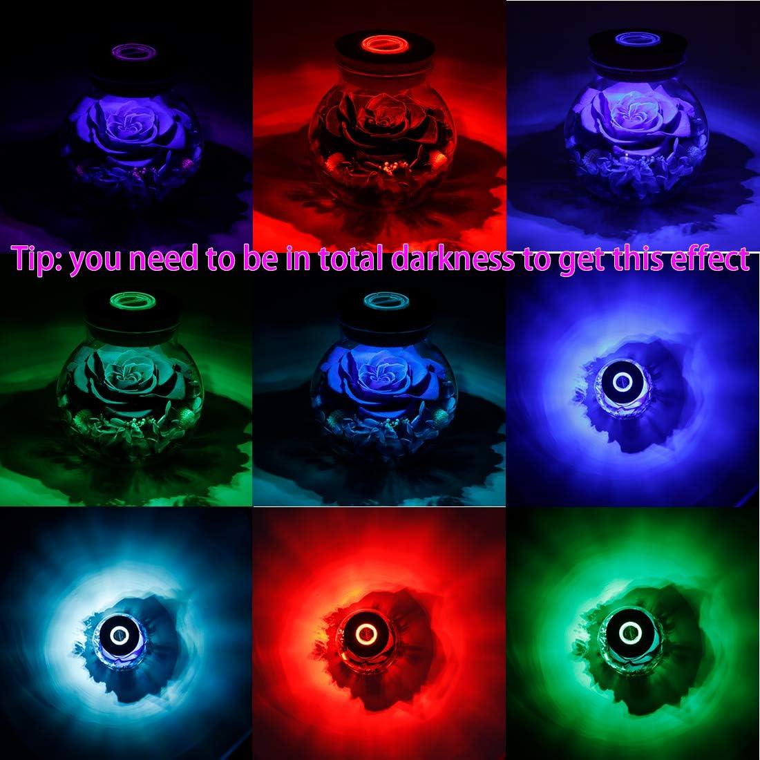 Rosa Eterna Conservada Roliys con Luz LED Azul 10.9cm