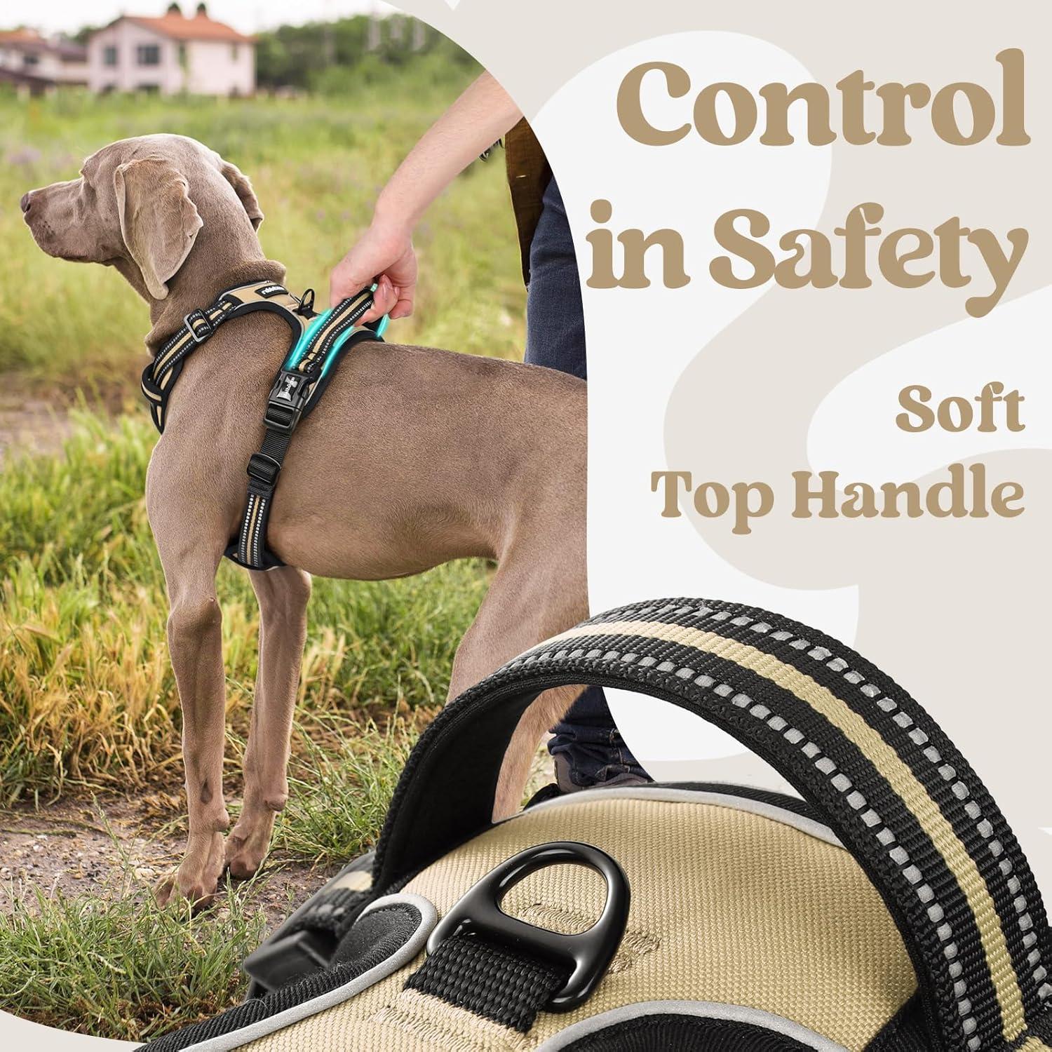 Arnés para Perros Rabbitgoo Pequeño Beige Ajustable Sin Tirones