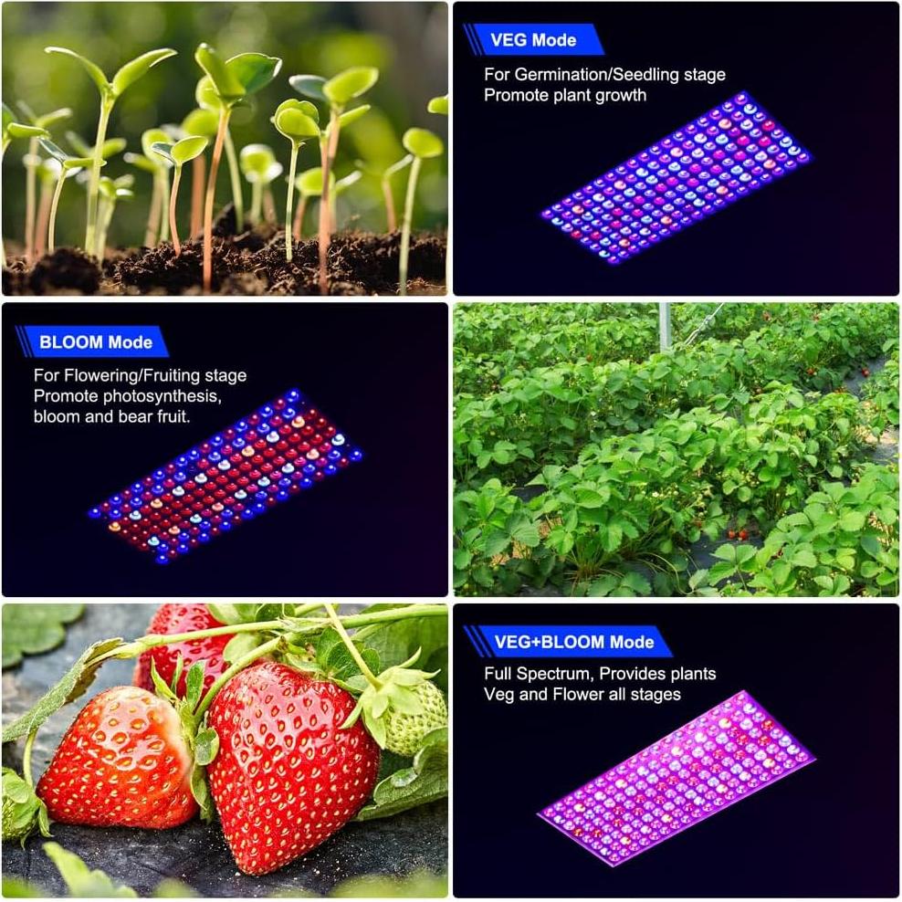 Luces de Cultivo LED WZDRAGON BW1000 Espectro Completo 250W