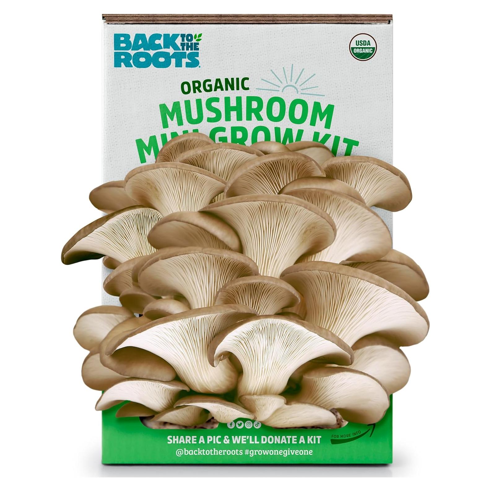 Kit de Cultivo de Champiñones Orgánico Back to the Roots Mini