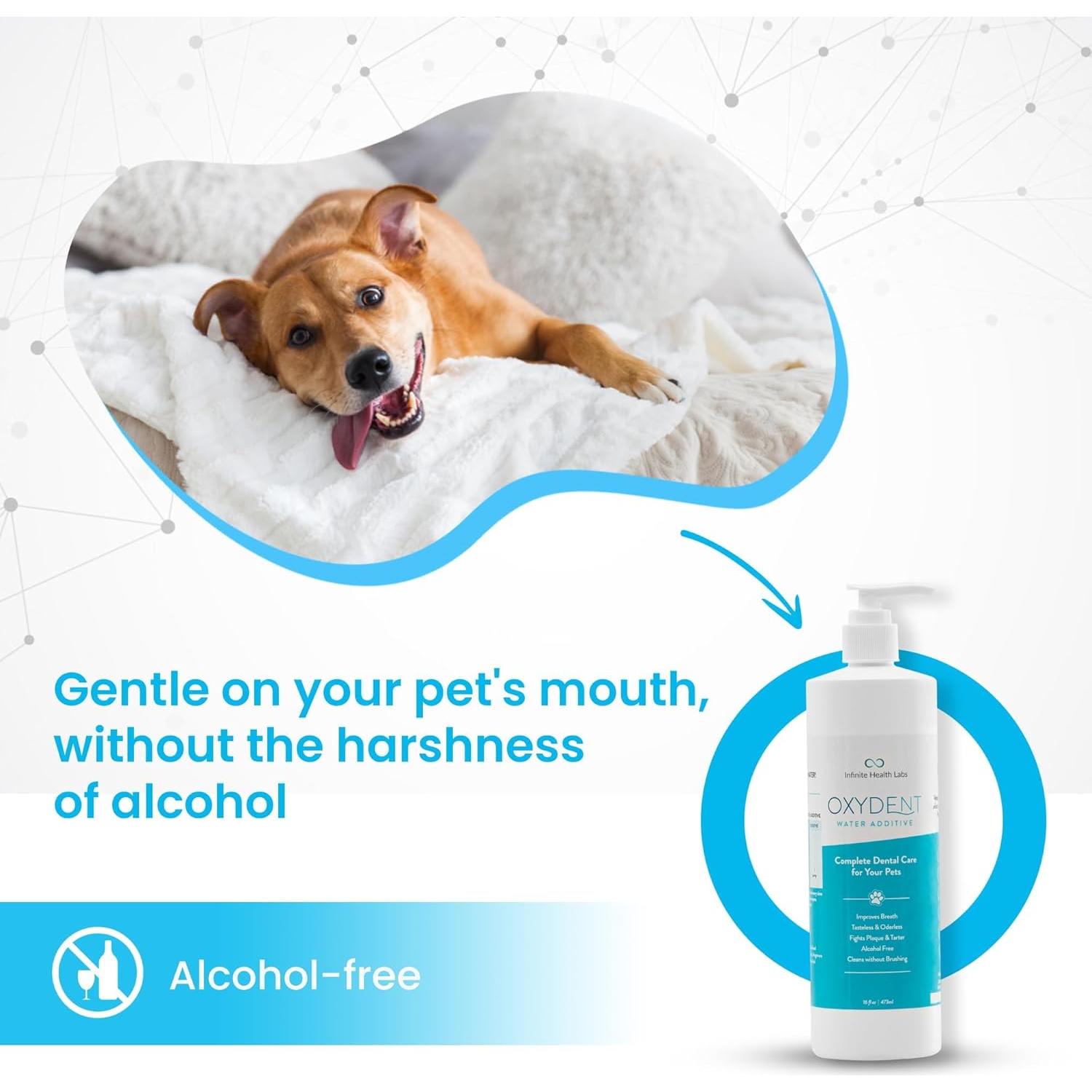 Oxydent Aditivo Dental para Mascotas 473ml - Elimina Mal Aliento