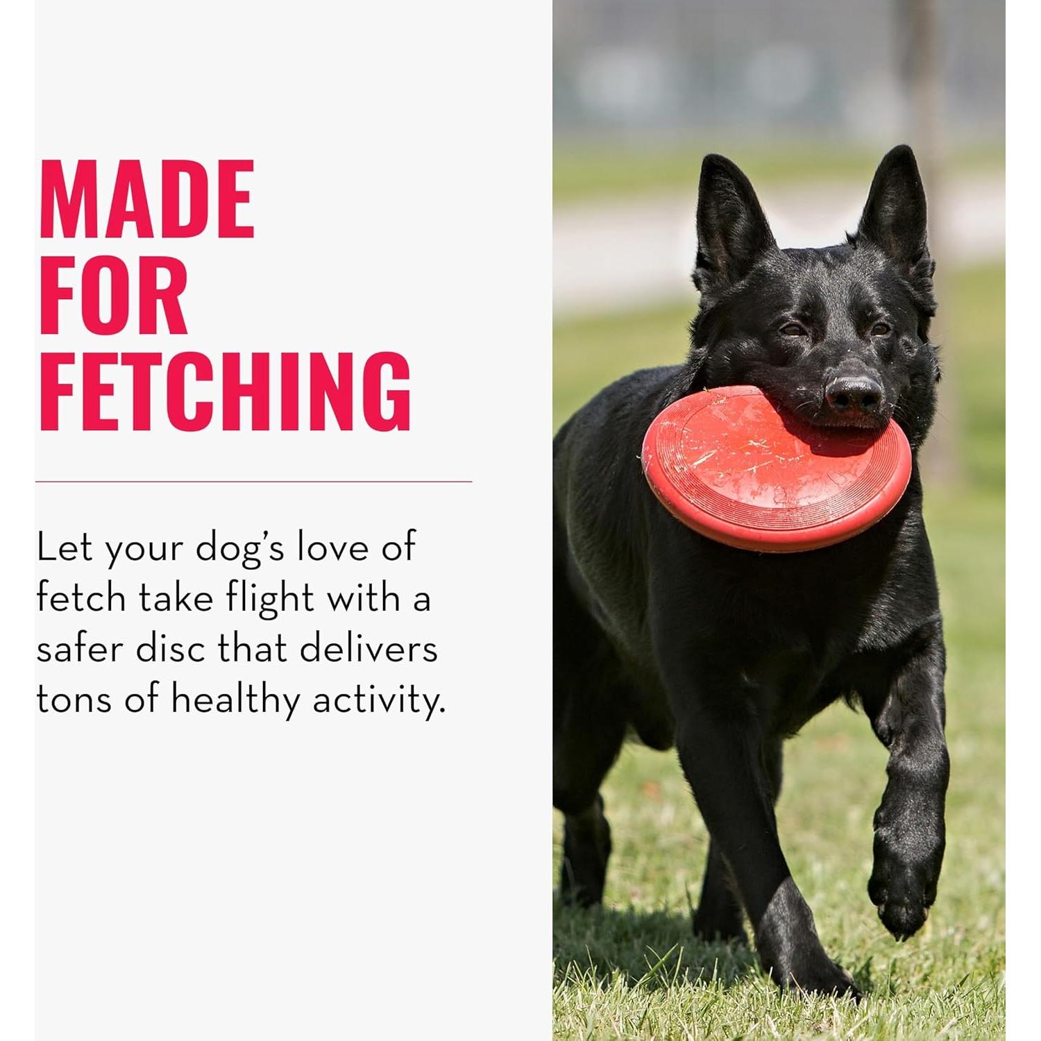 KONG Flyer - Disco Volador para Perros Pequeños de Caucho