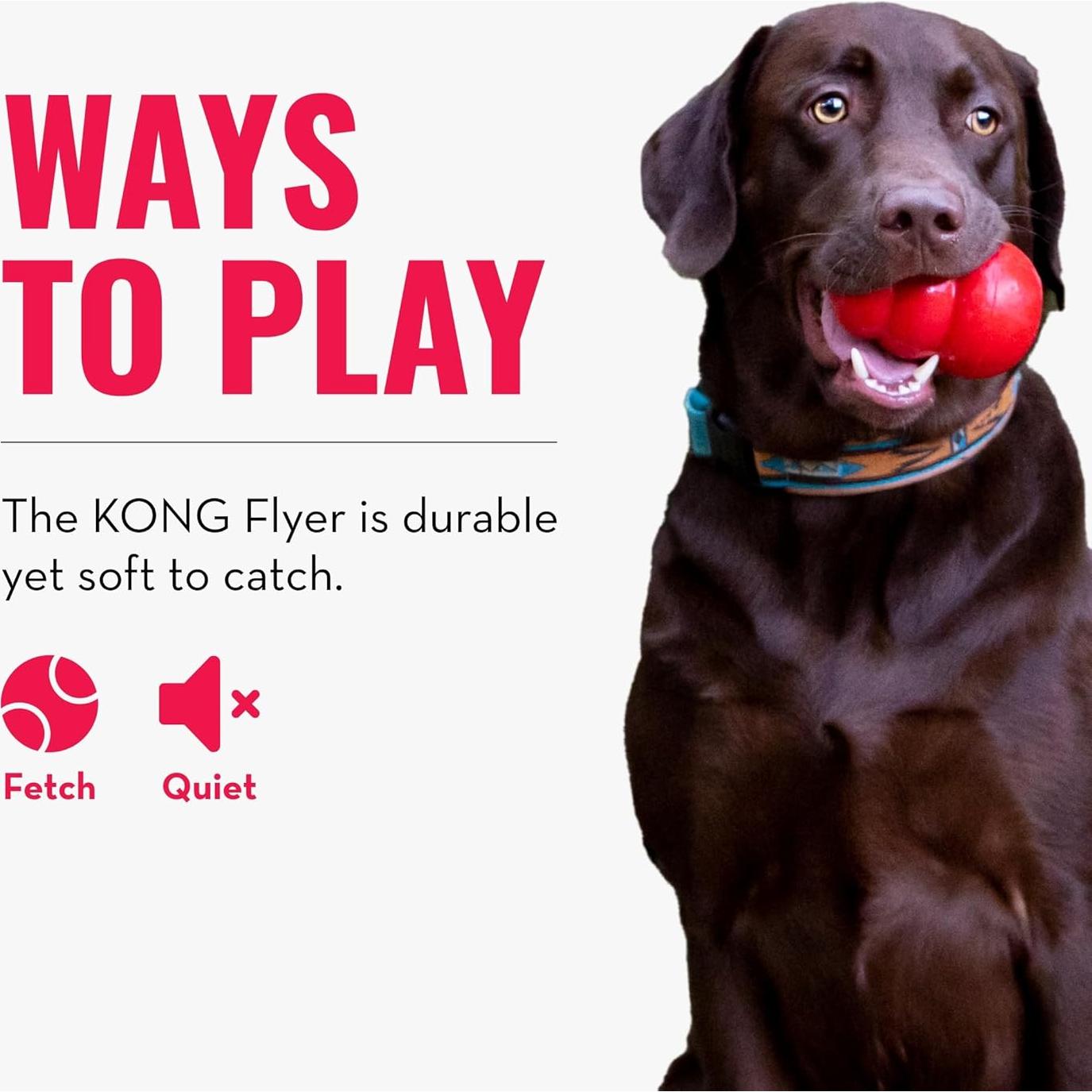 KONG Flyer - Disco Volador para Perros Pequeños de Caucho